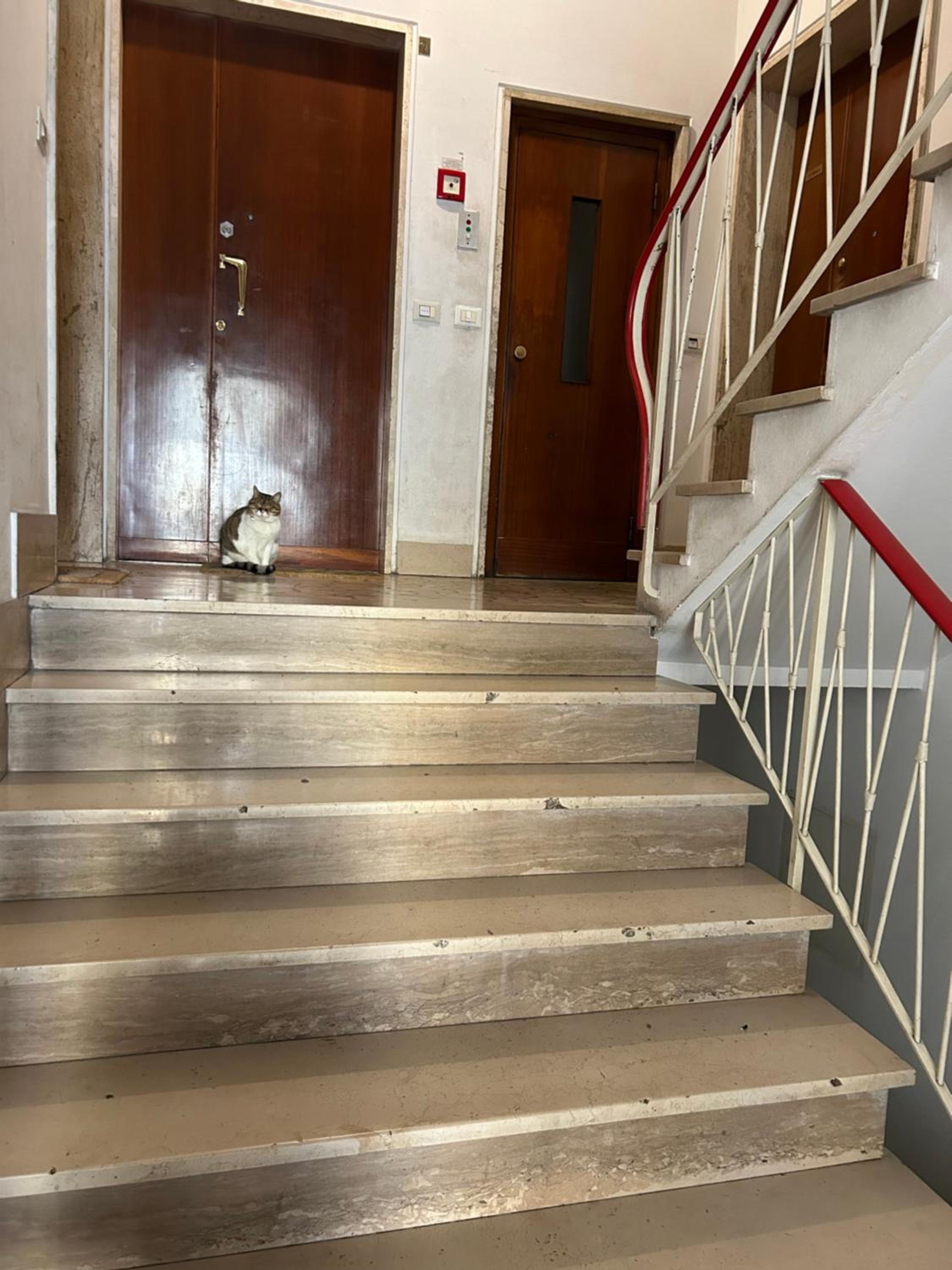 Casa di Giotto 2 camere a 2 passi dal Lungarno