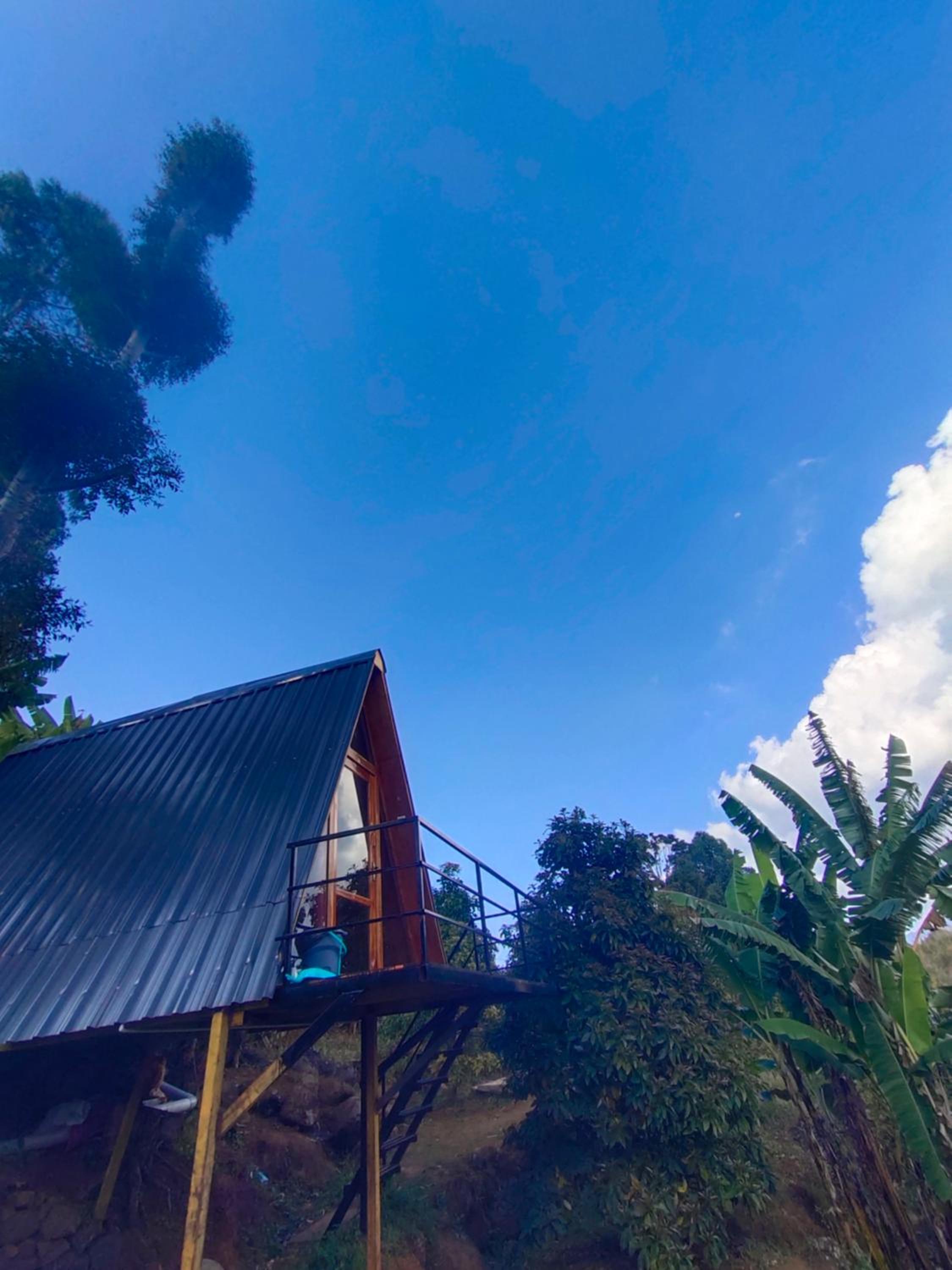 Papathi farm house view 2