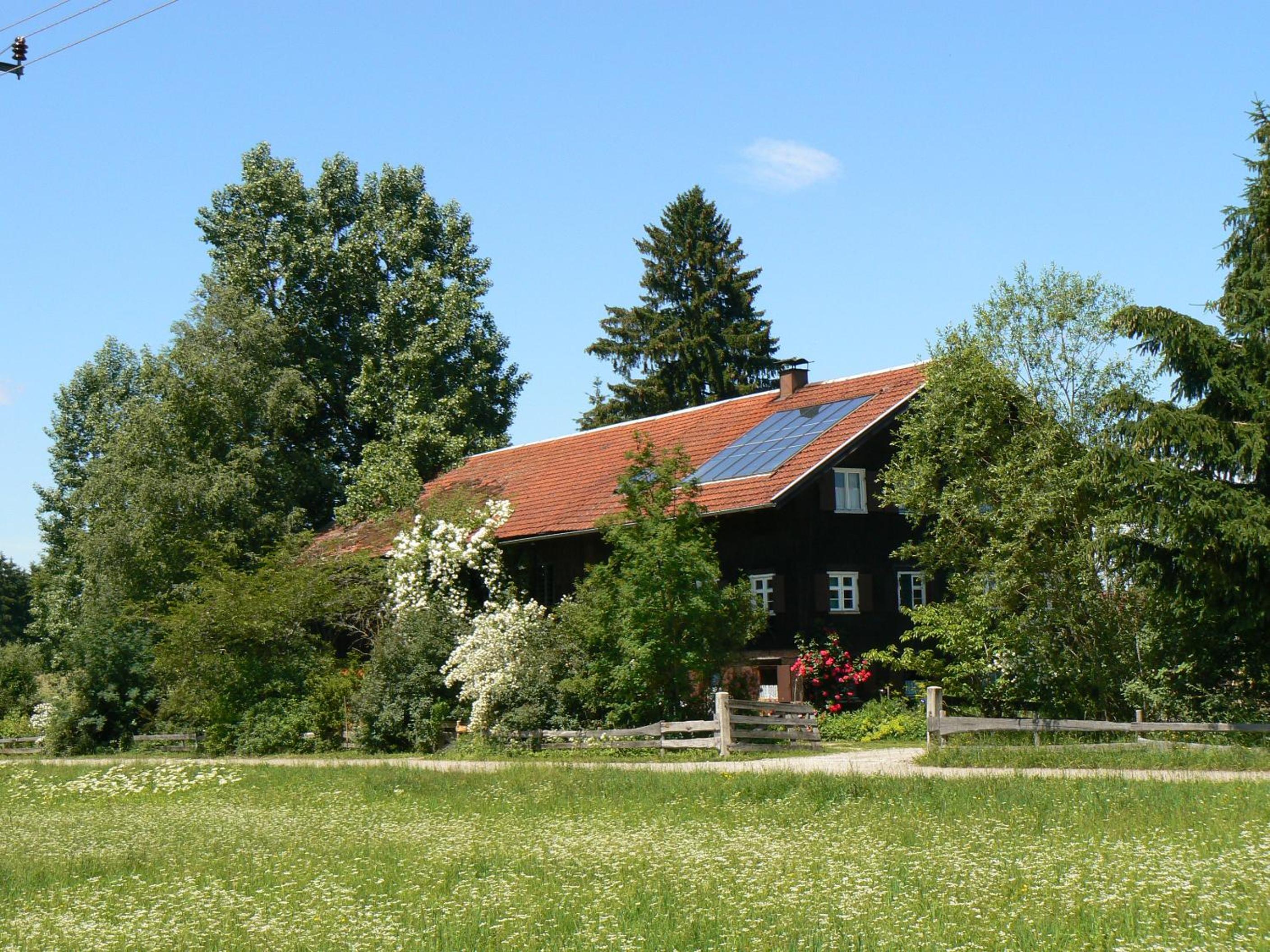 Photo 42