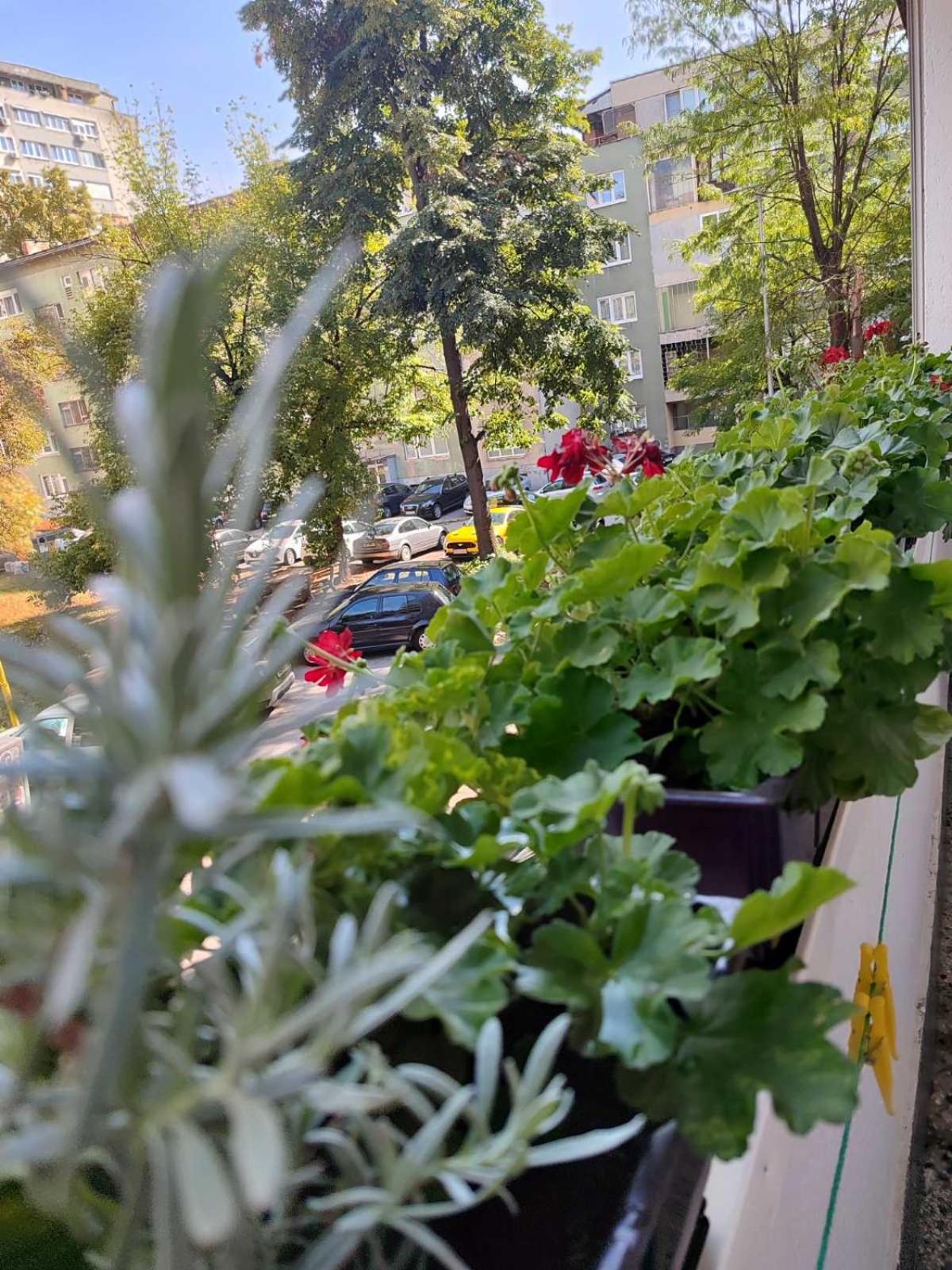 Flowers Apartment Tuzla