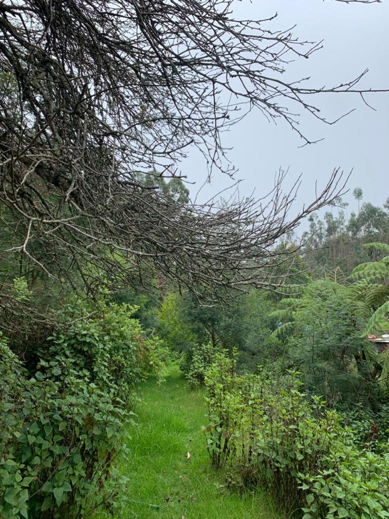 Whispering Waters - Wild Rose Cottage view 4