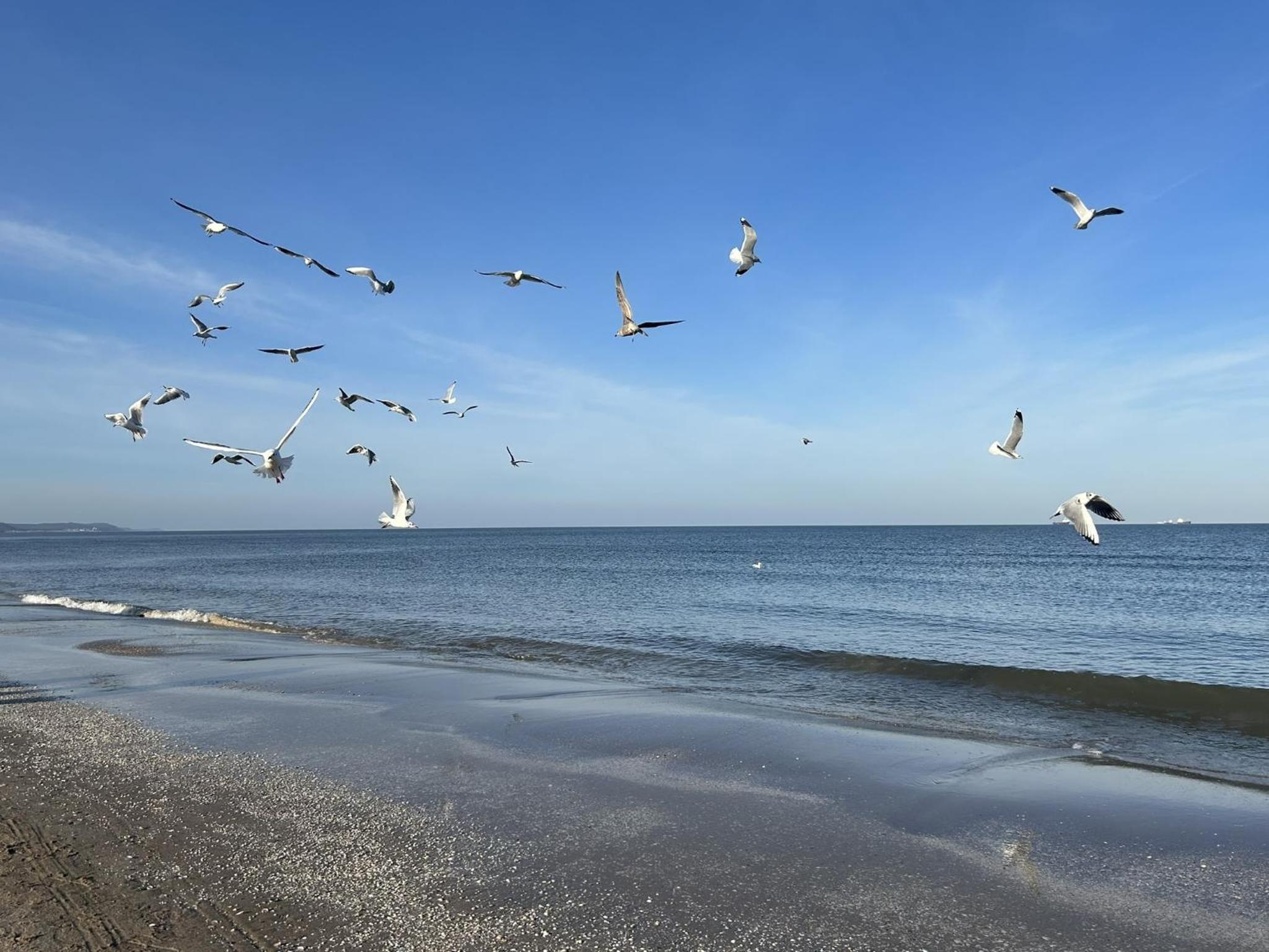 Pension Wald und See