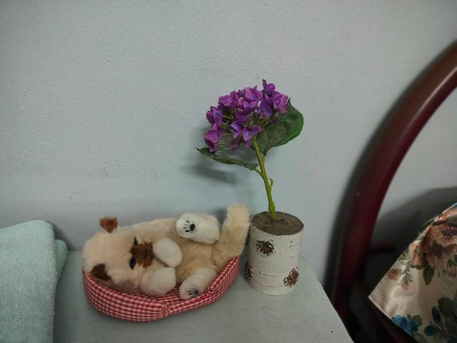 Photo 18