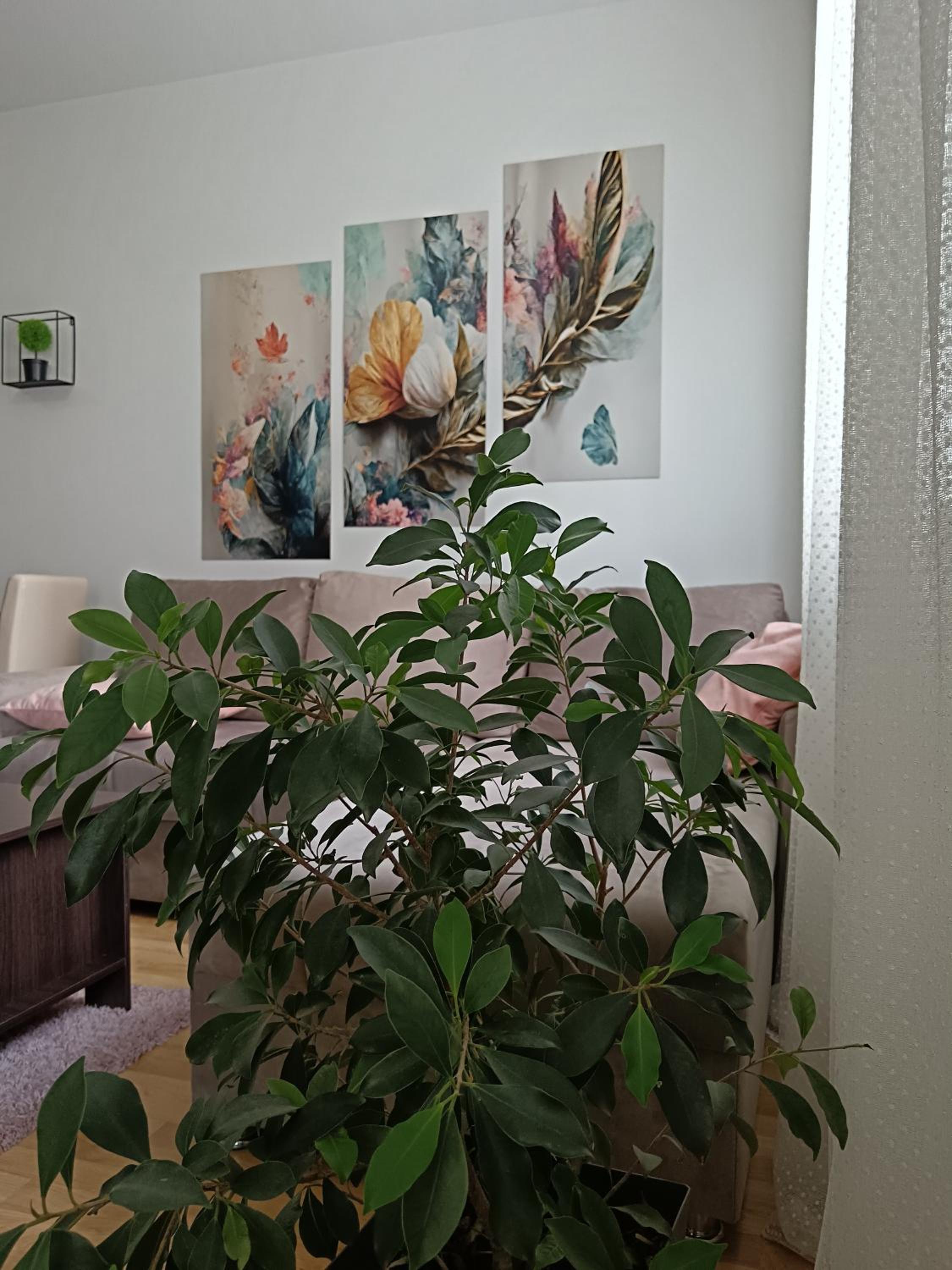 Alacaster G apartman FREE PARKING