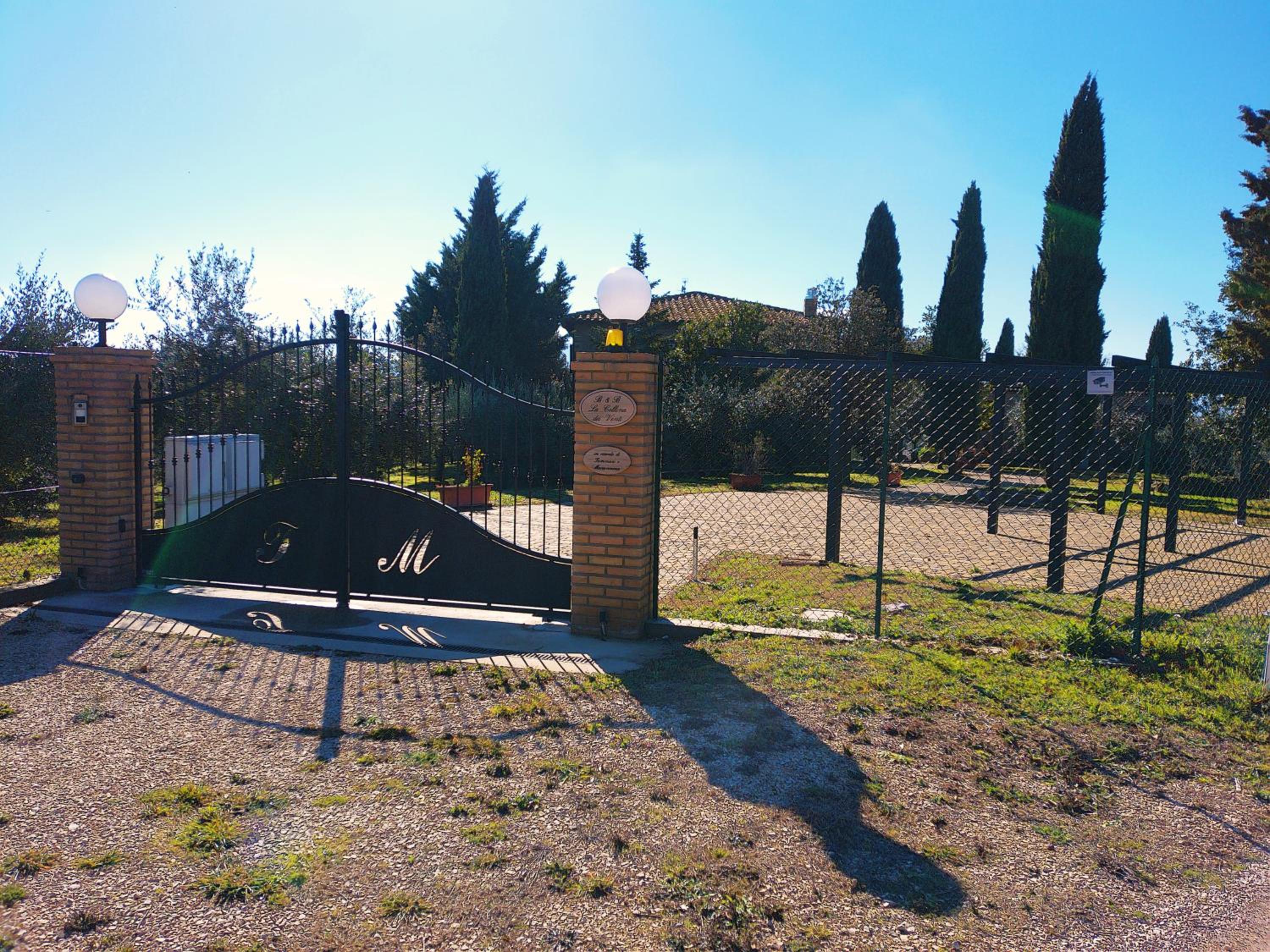 Photo 25