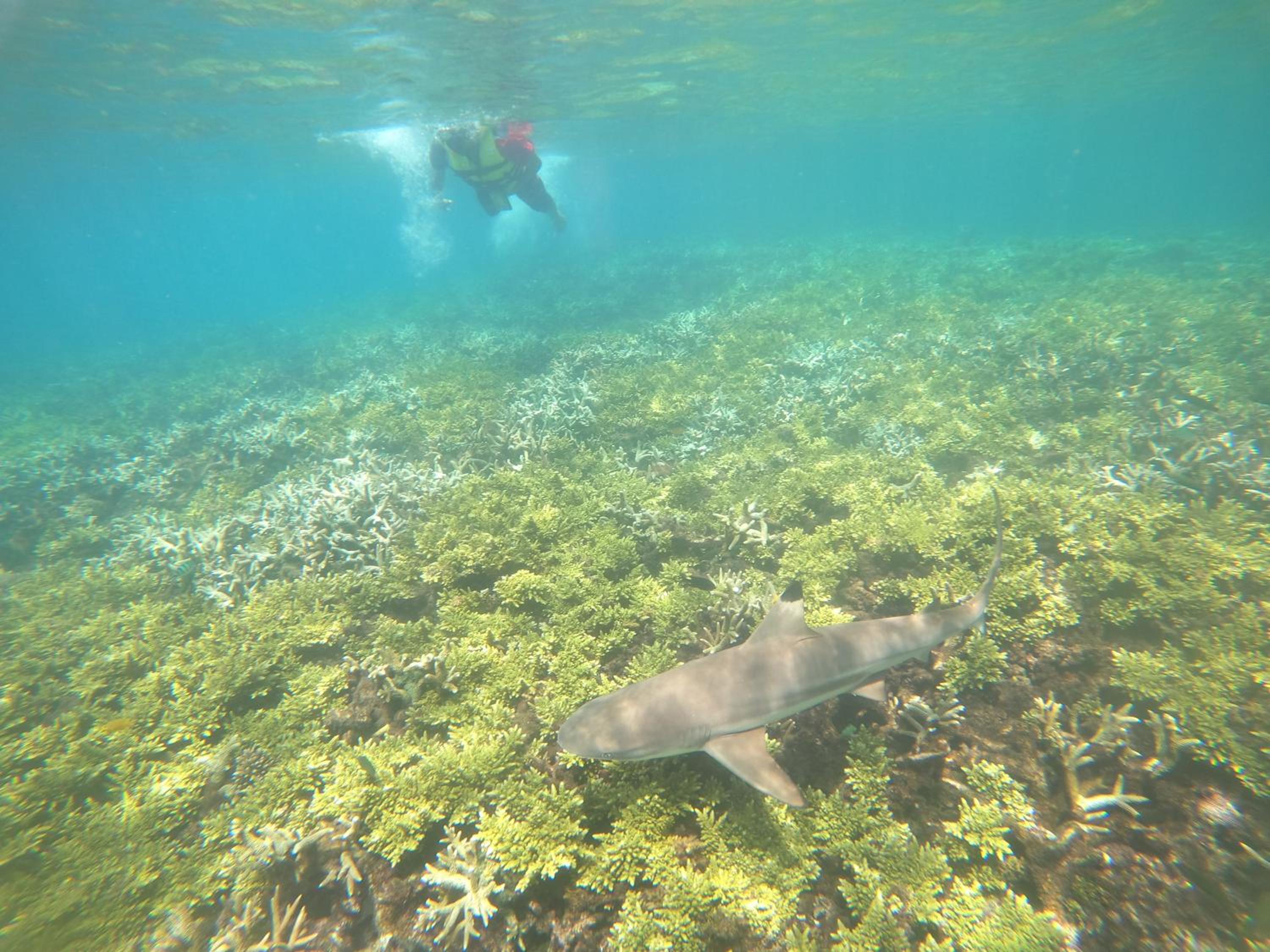 Perhentian Idaman