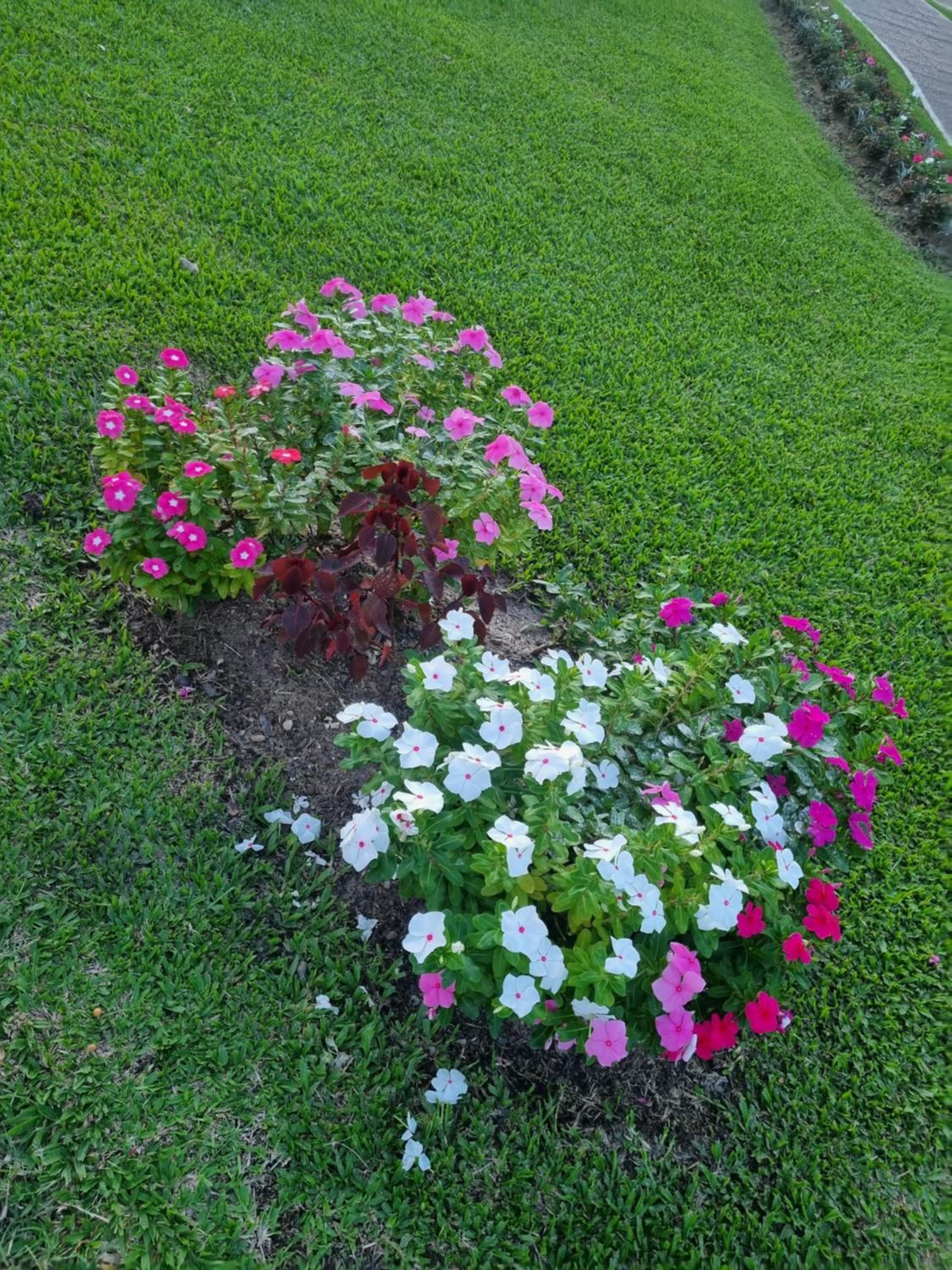 Naturaleza Termal