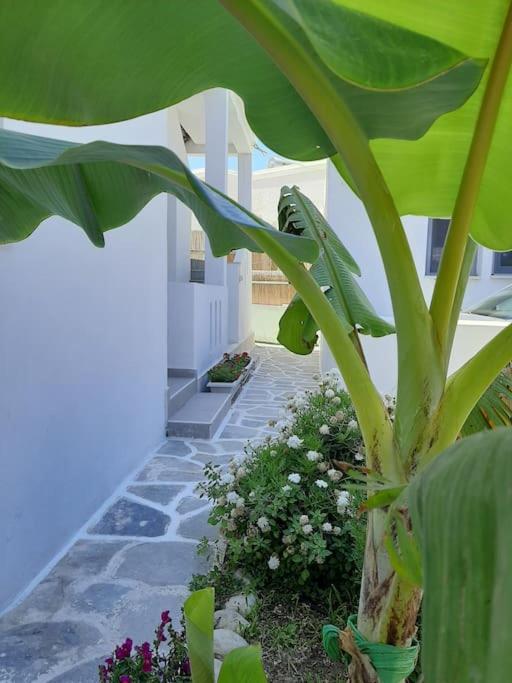 Bright town house photo 3