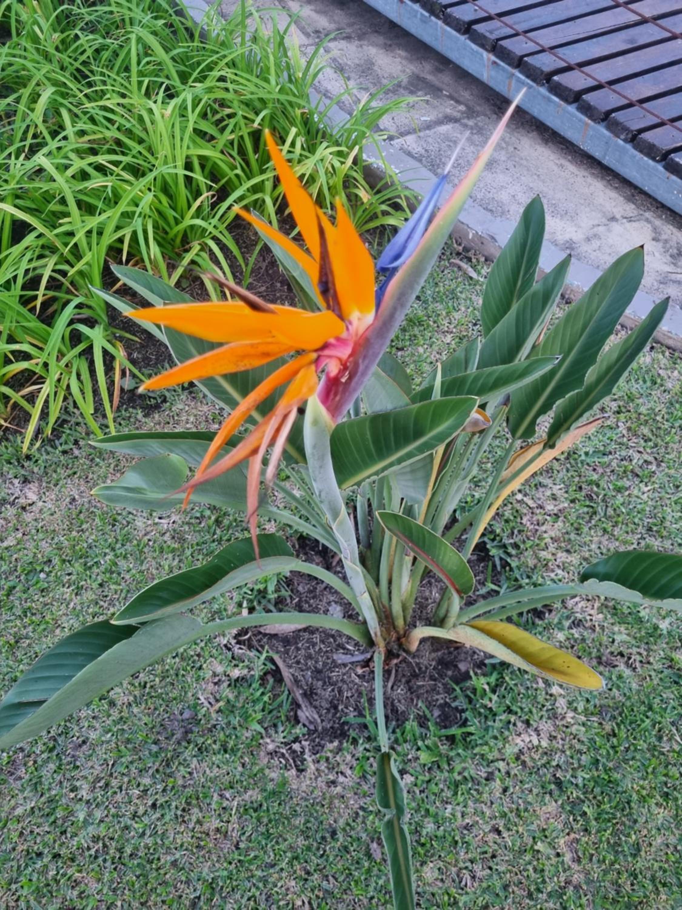 Naturaleza Termal