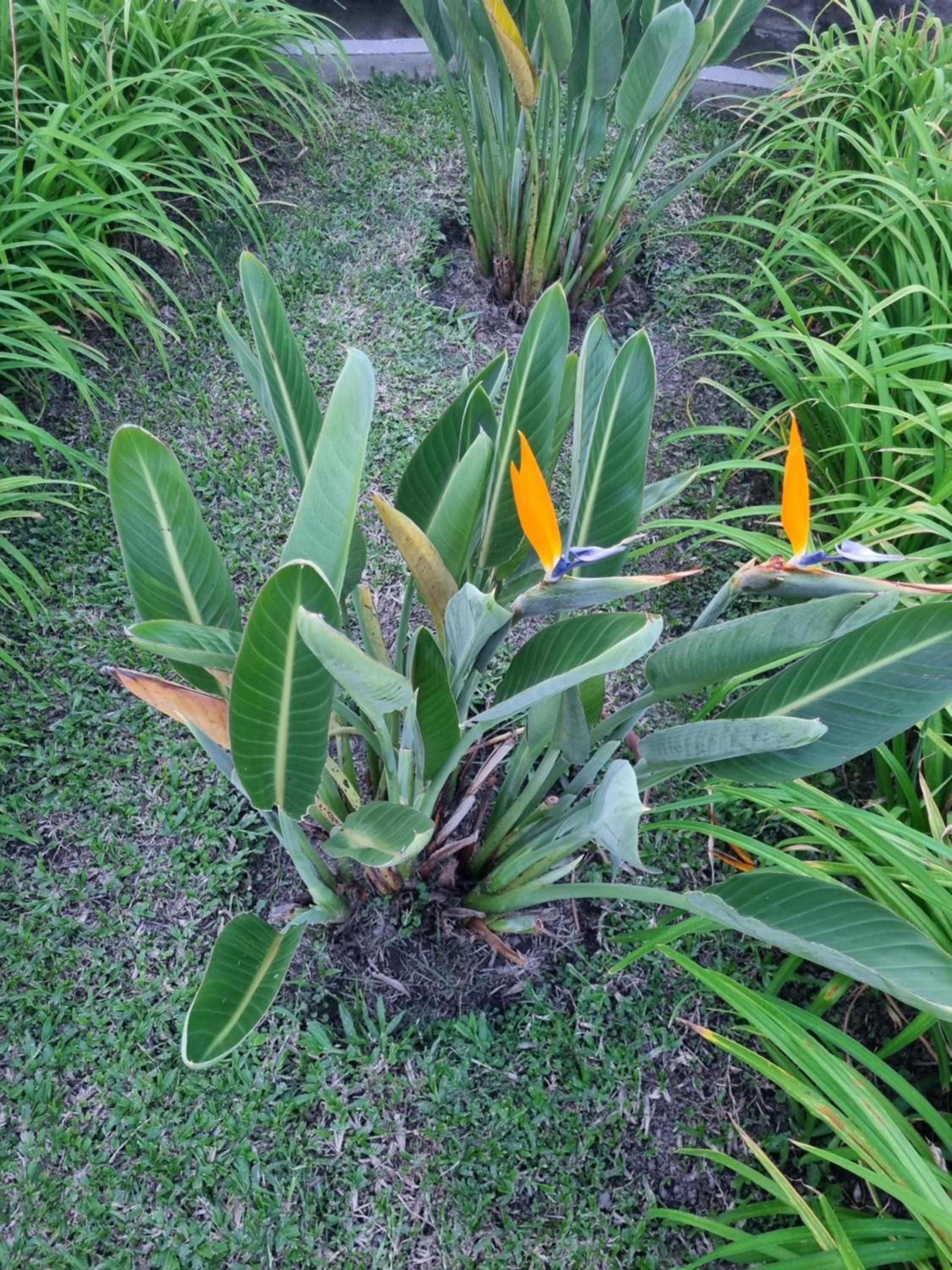 Naturaleza Termal