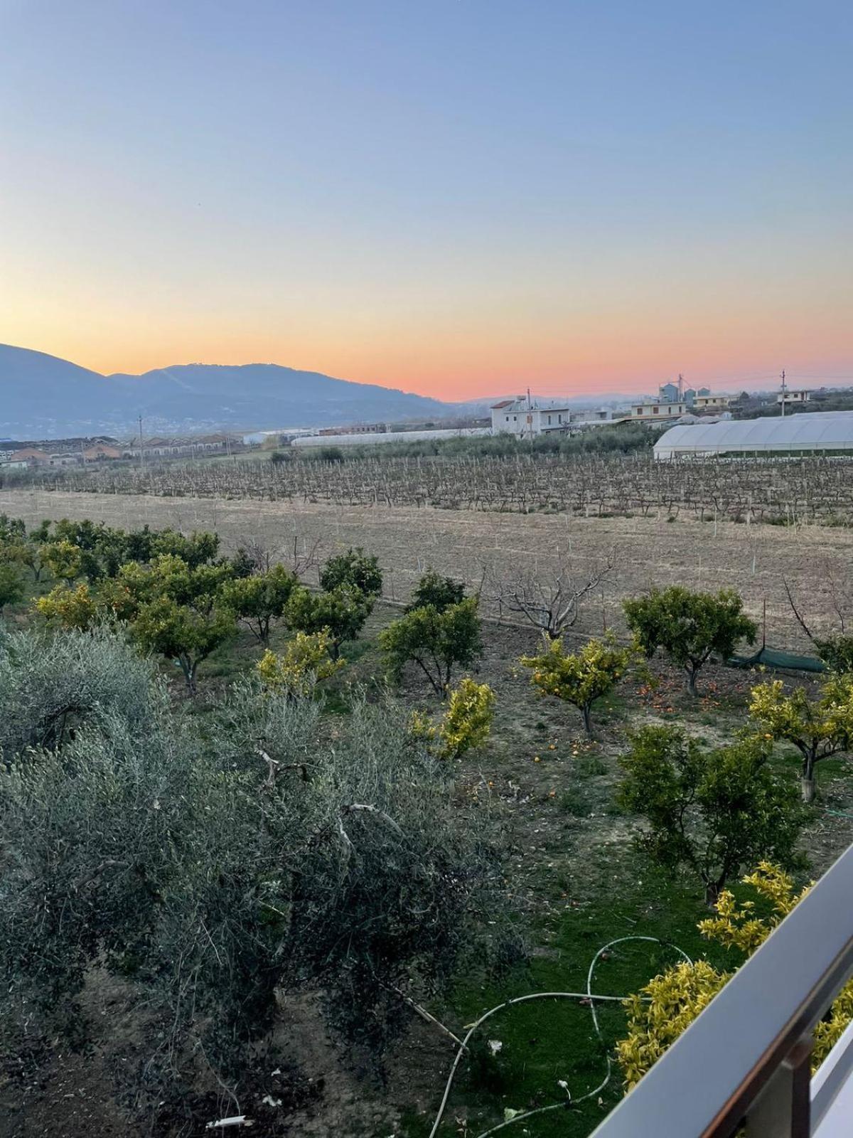 Harmony Villa Berat
