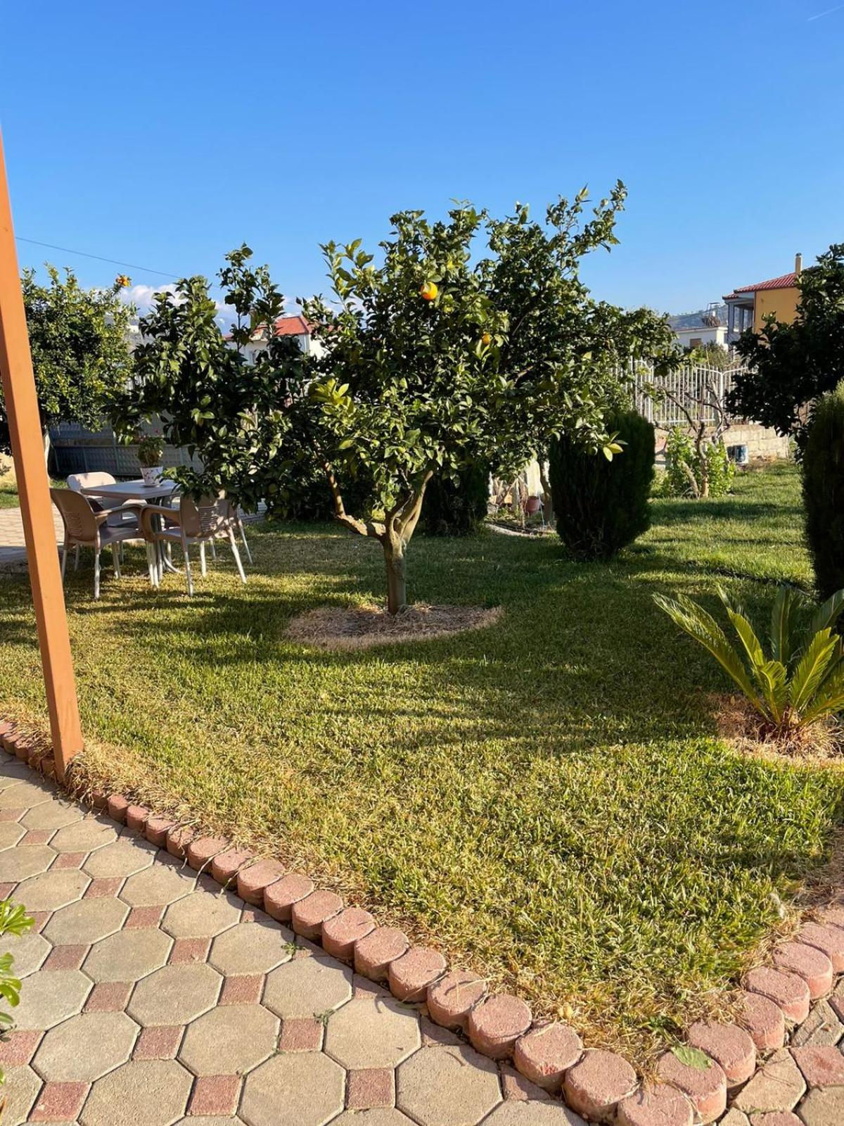 Harmony Villa Berat
