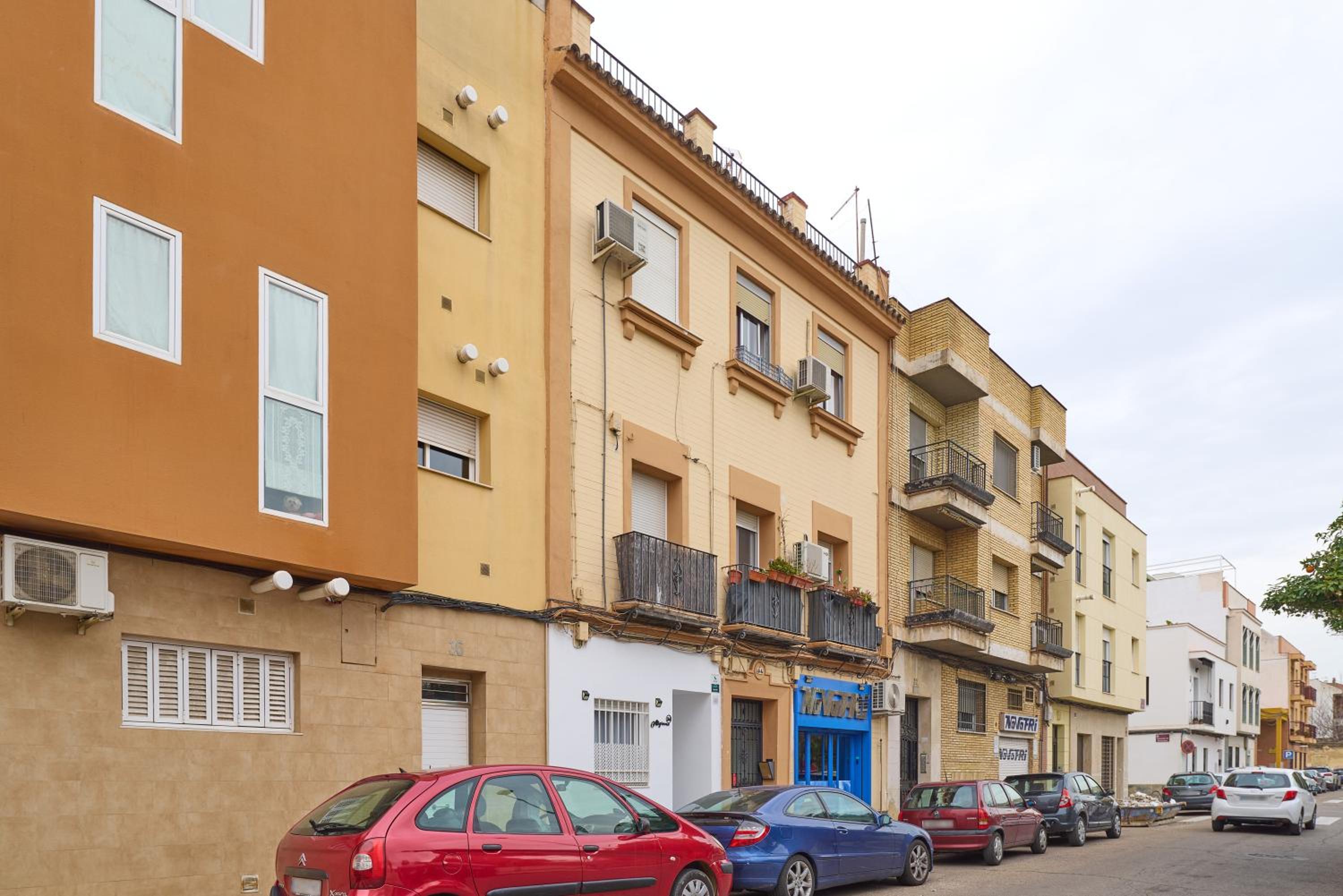 Aligrama Cordoba