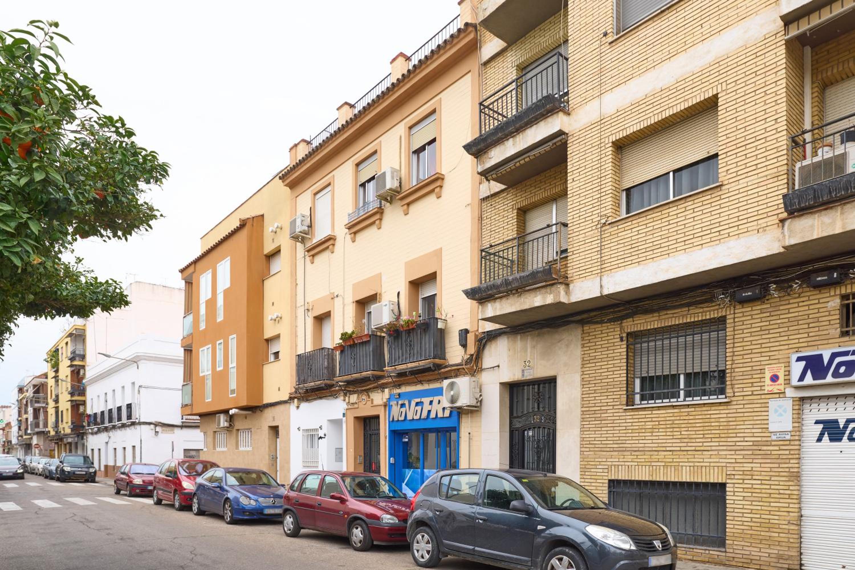 Aligrama Cordoba