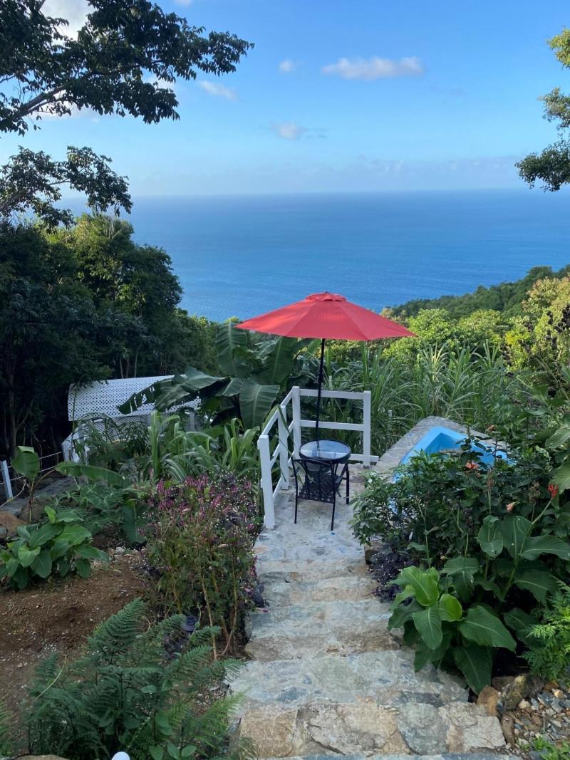 SummervilleBVI