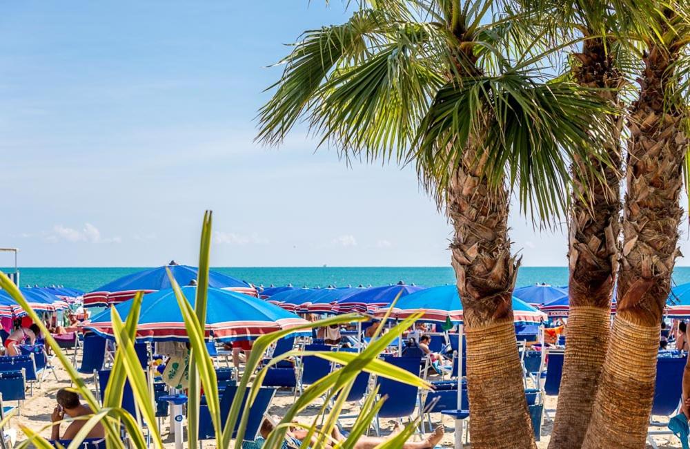 Aqua Family Apartments - Appartamenti con spiaggia, piscina, parcheggio e bici incluse view 2