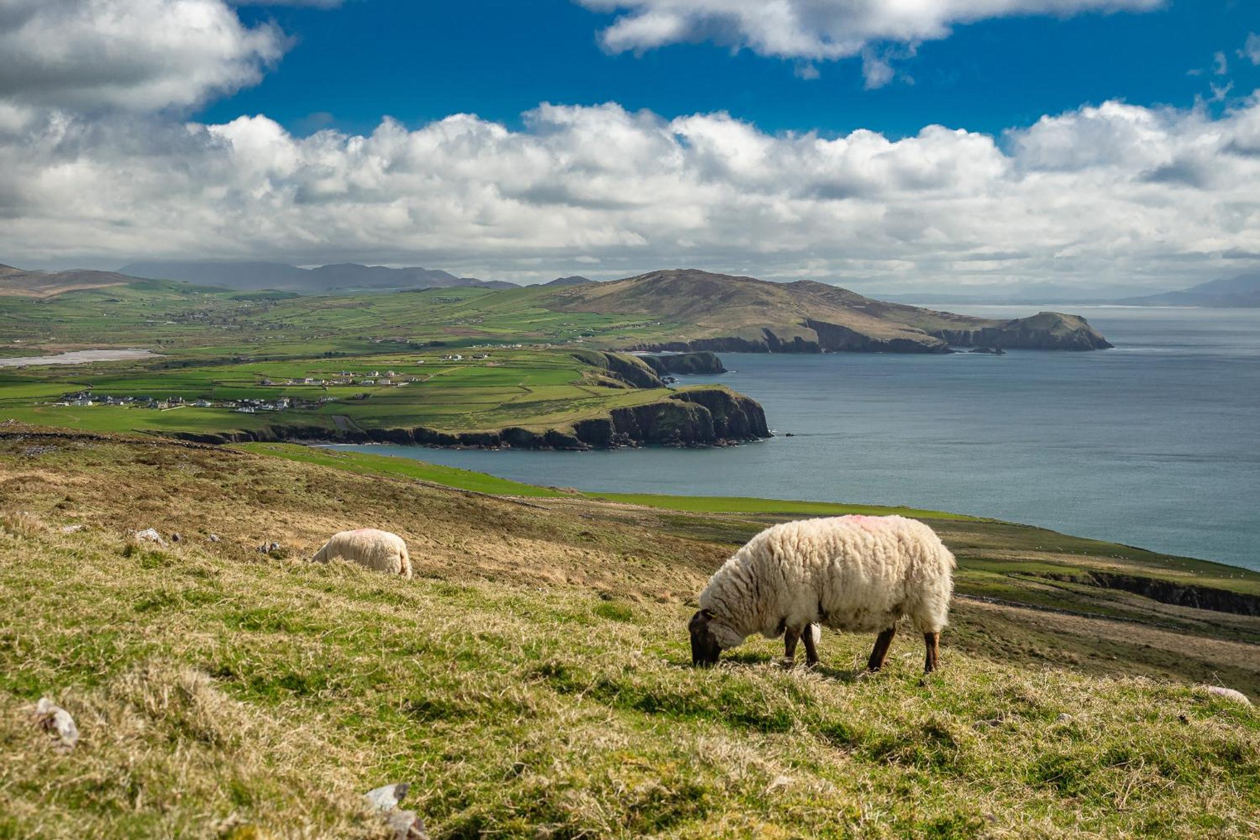 Ventry Farm - Seaside Cottage by Trident Holiday Homes