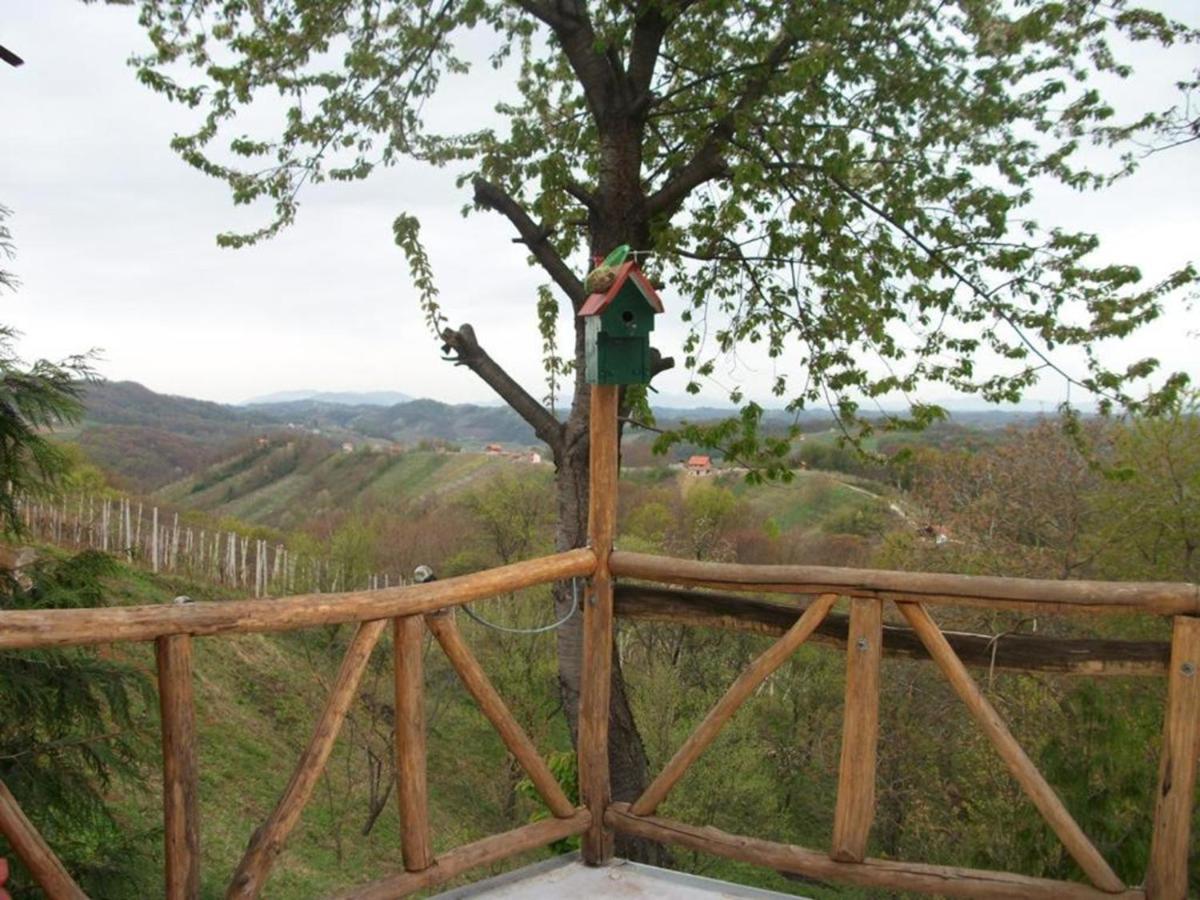 Kuća sa apartmanima Šemnica - za odmor i proslave! view 5