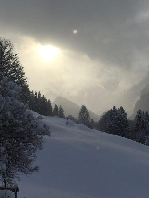 Drop In mountain chalet