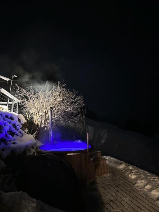 Drop In mountain chalet