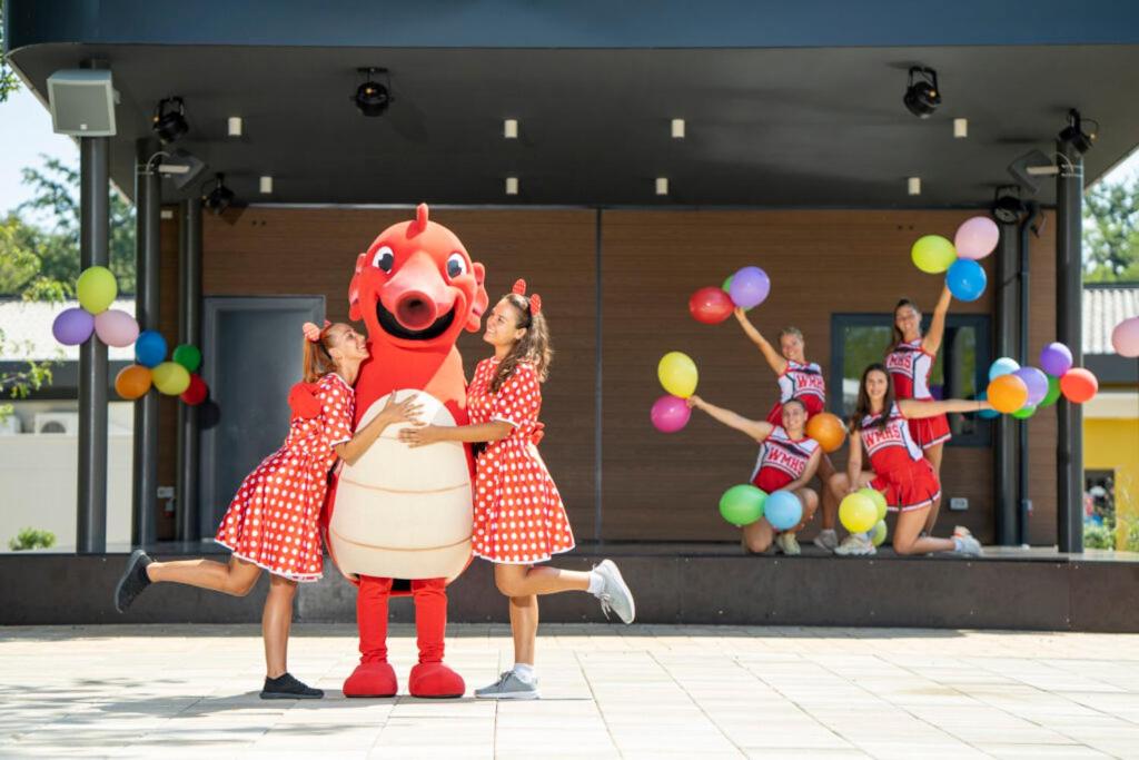 SUNNY Mobile Homes Bijela Uvala - Property Image 18