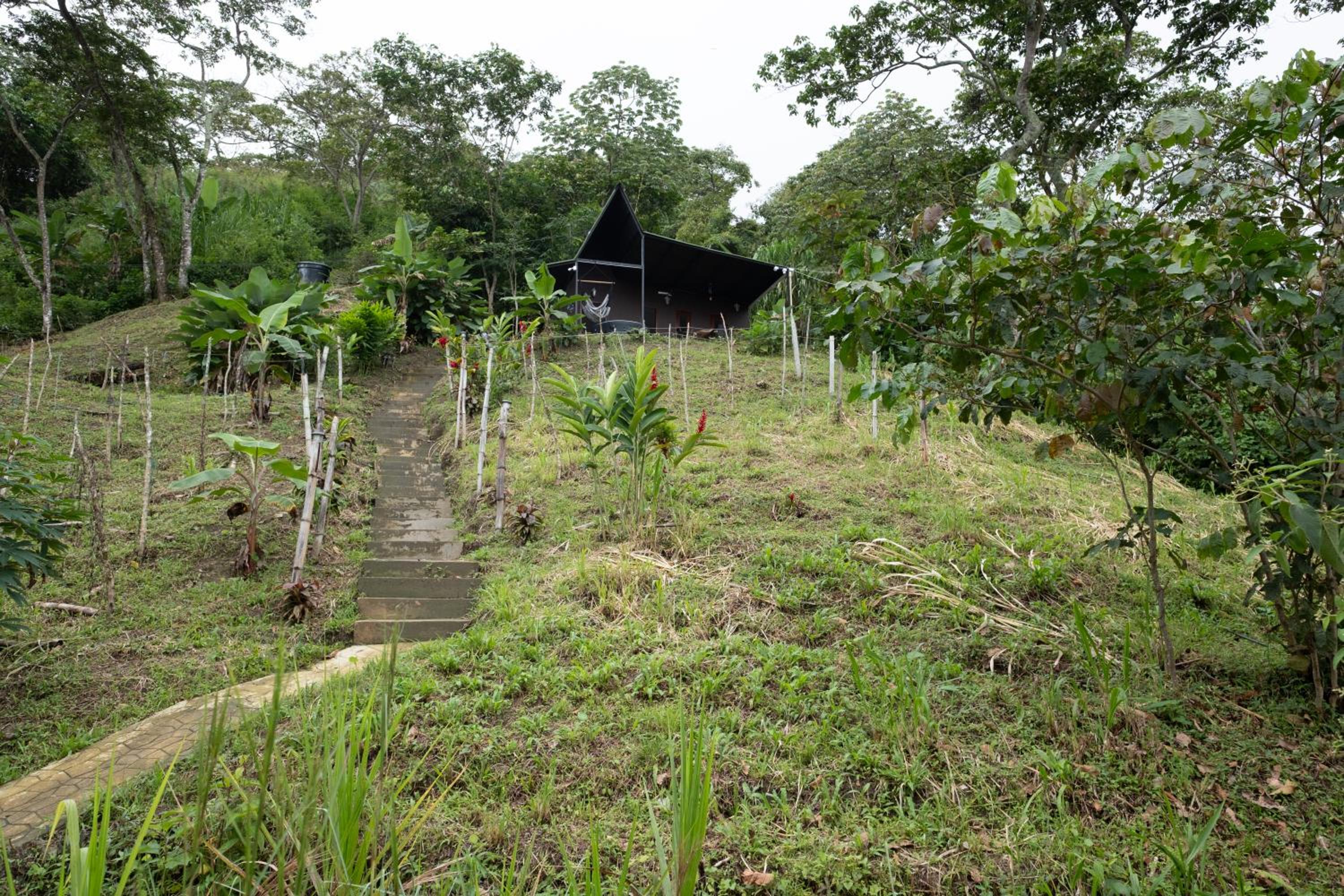 hospedaje en Minca Paraiso de la sierra
