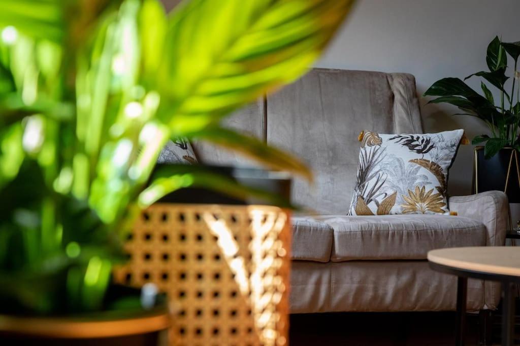 Ciompi Lovely Apartment in Florence