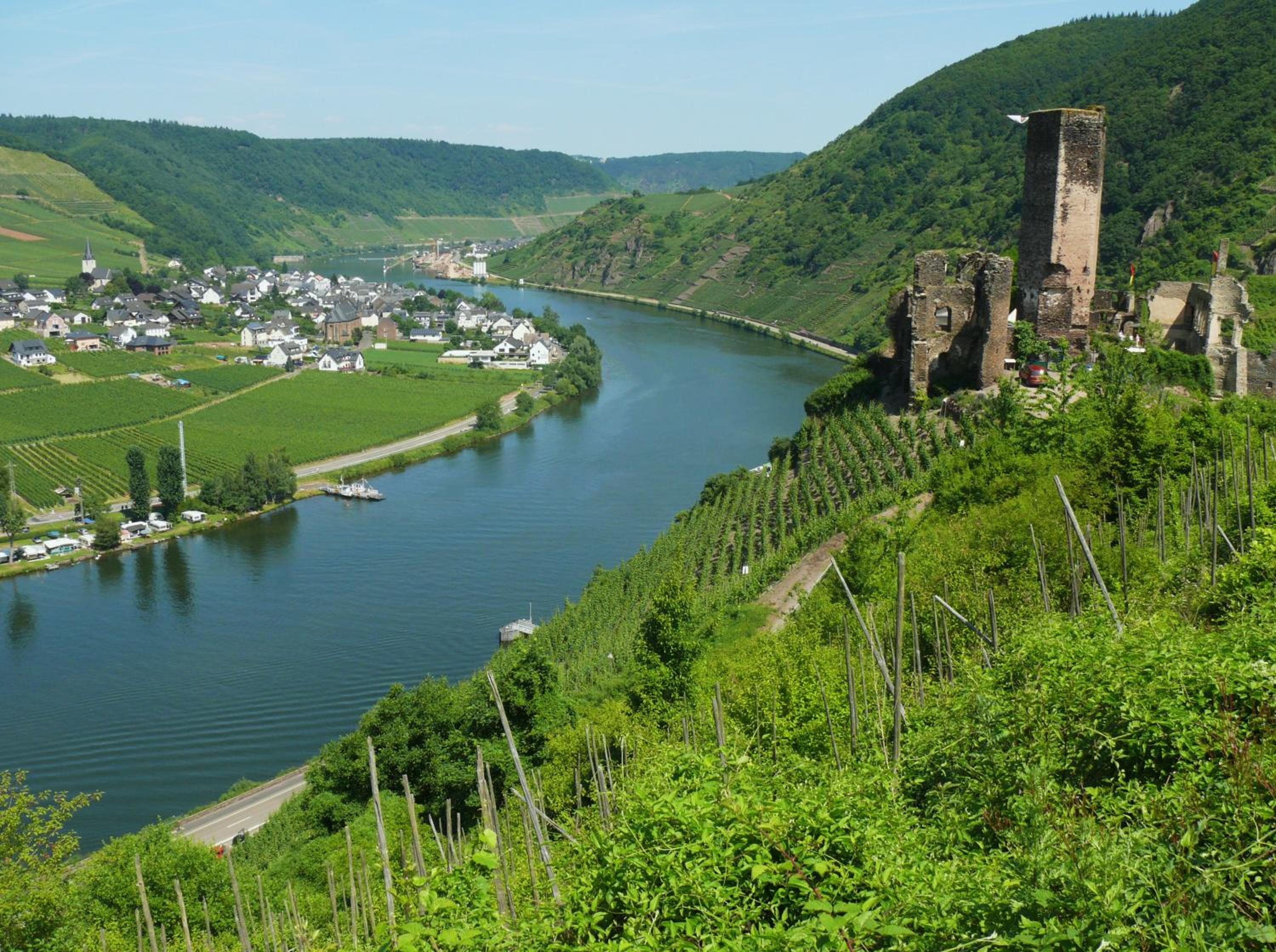 Weingut im Moselkrampen
