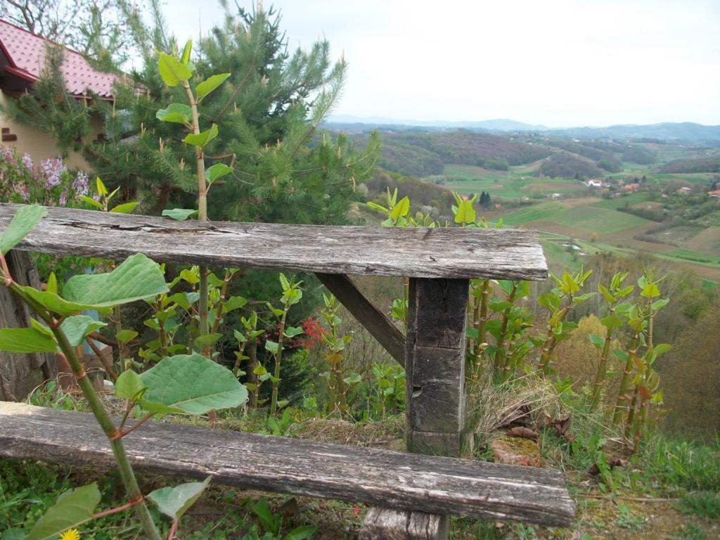 Photo 48