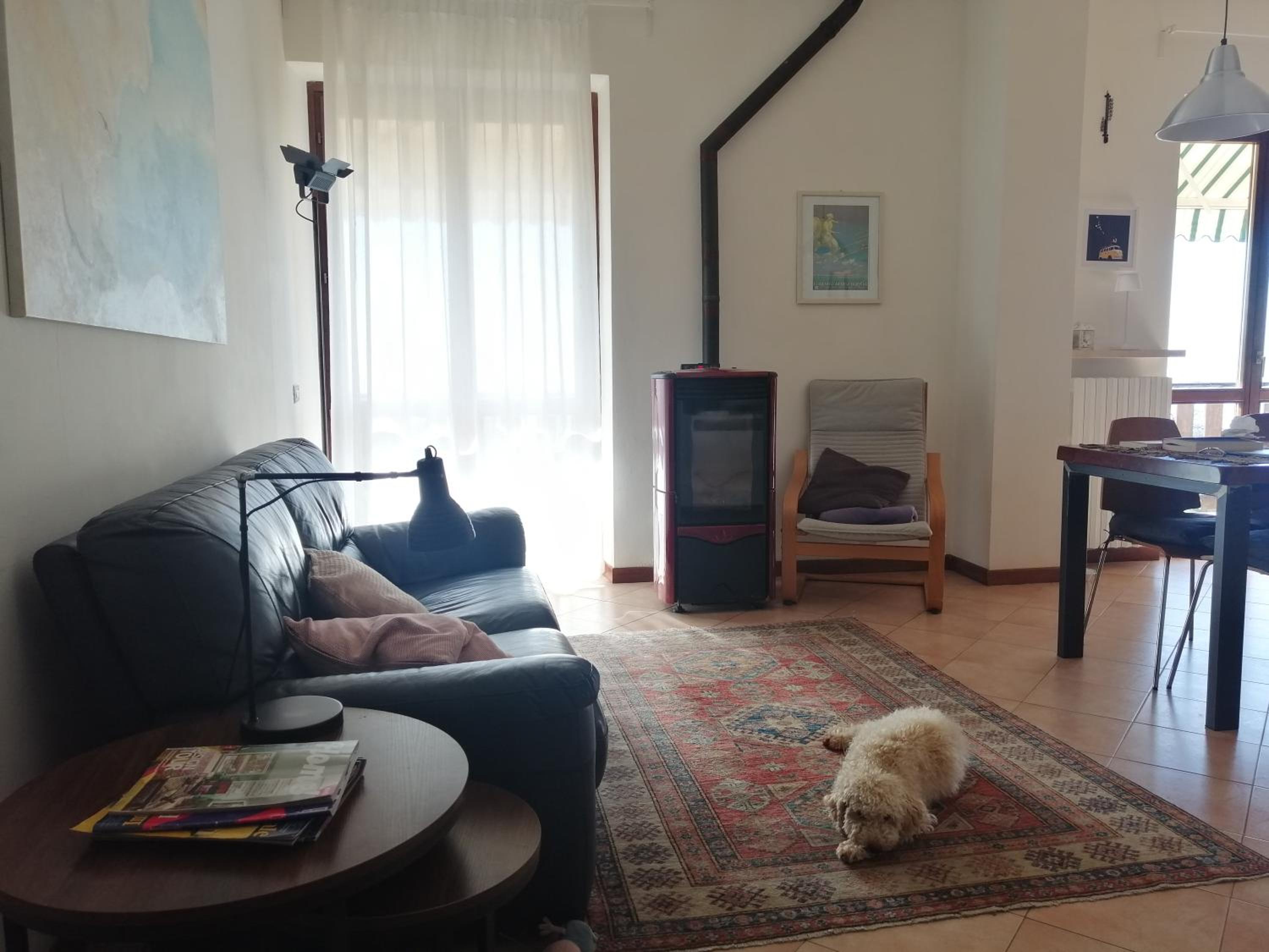 Photo 42