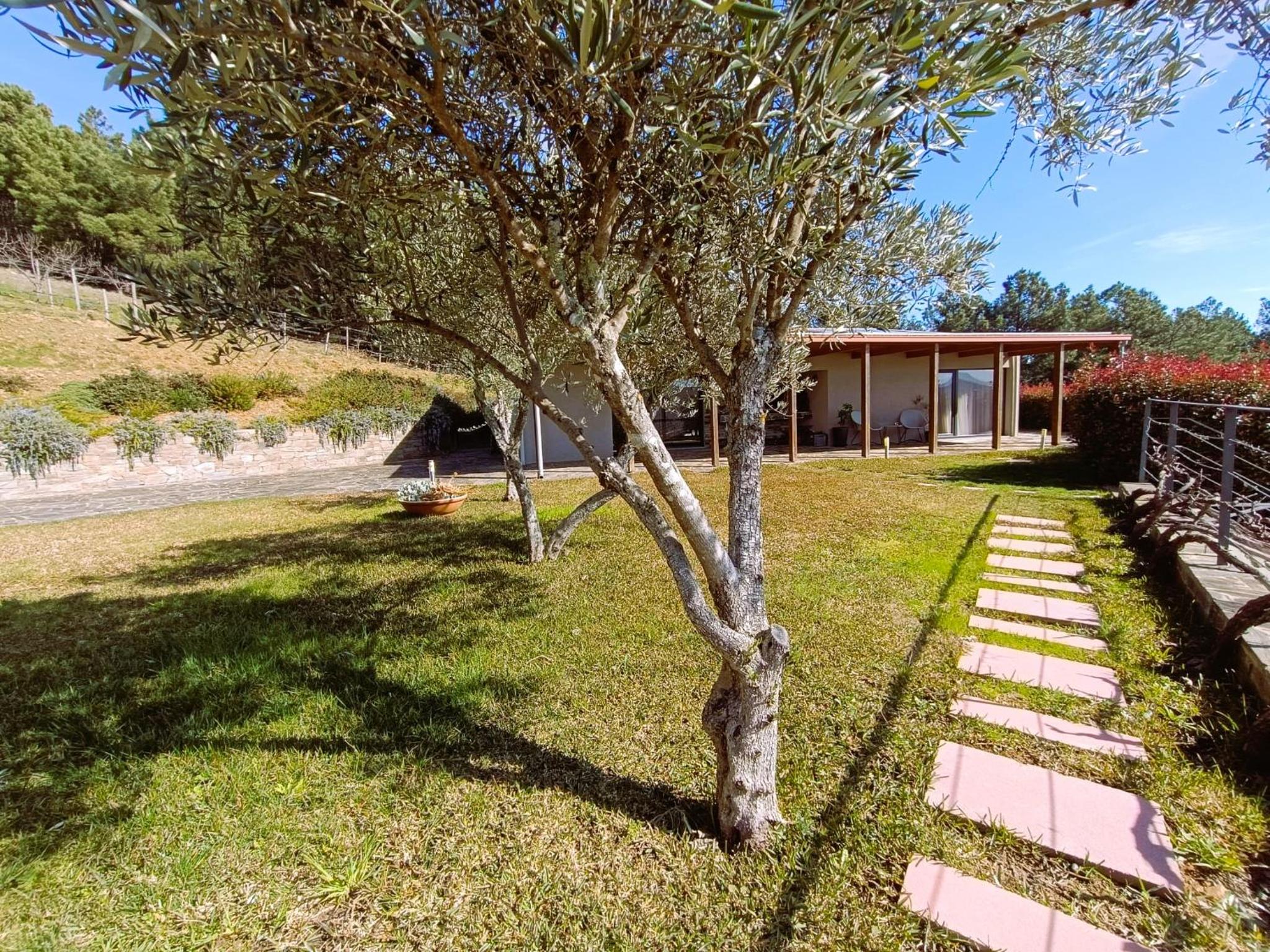 Quinta Manhas Douro