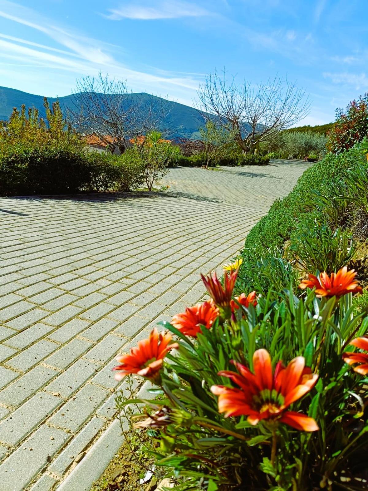 Quinta Manhas Douro