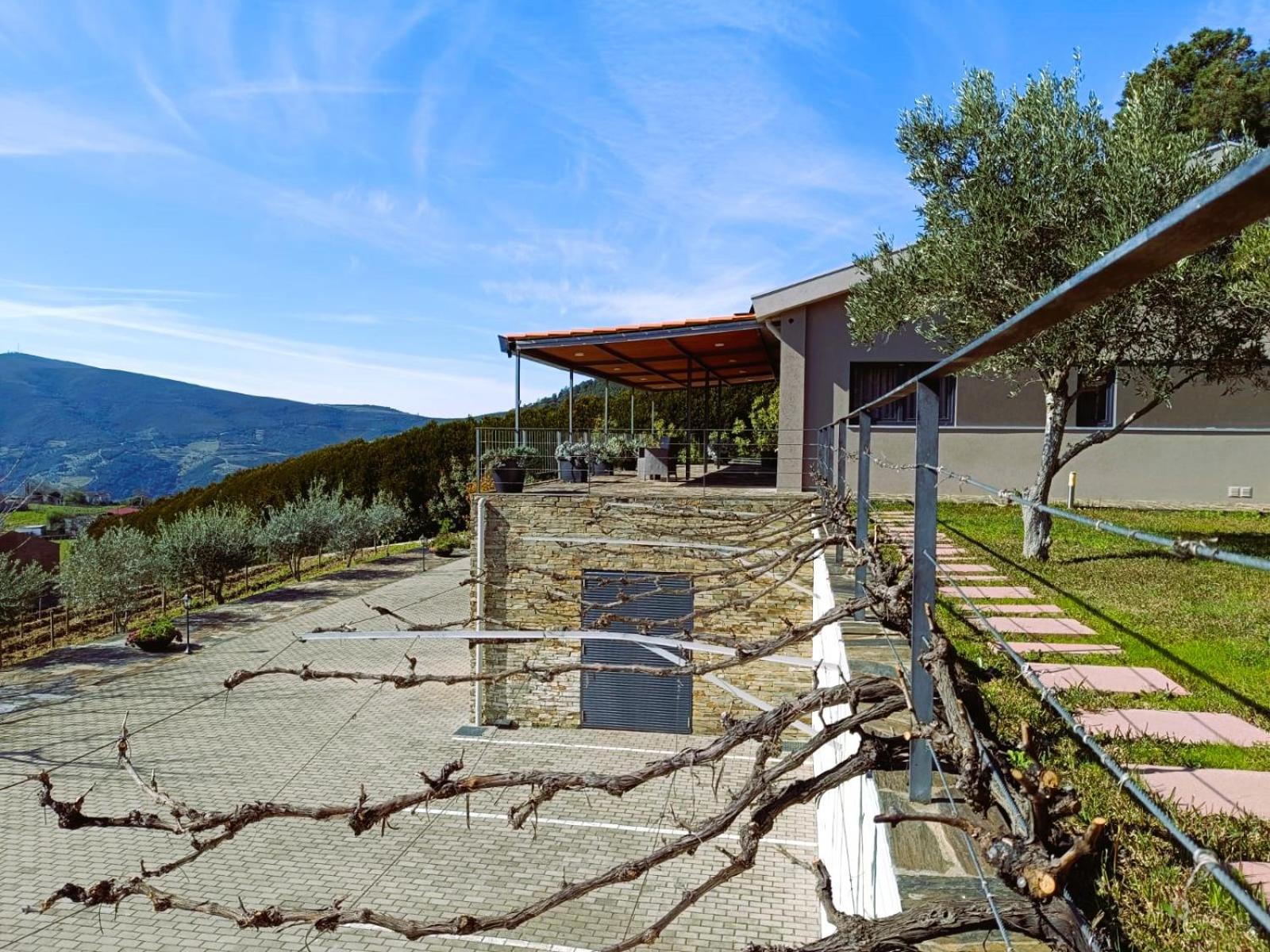Quinta Manhas Douro