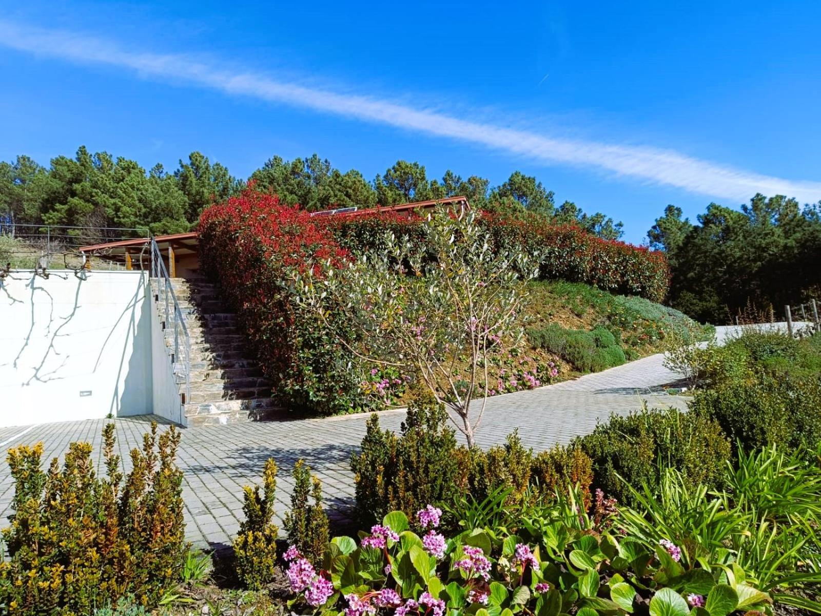 Quinta Manhas Douro