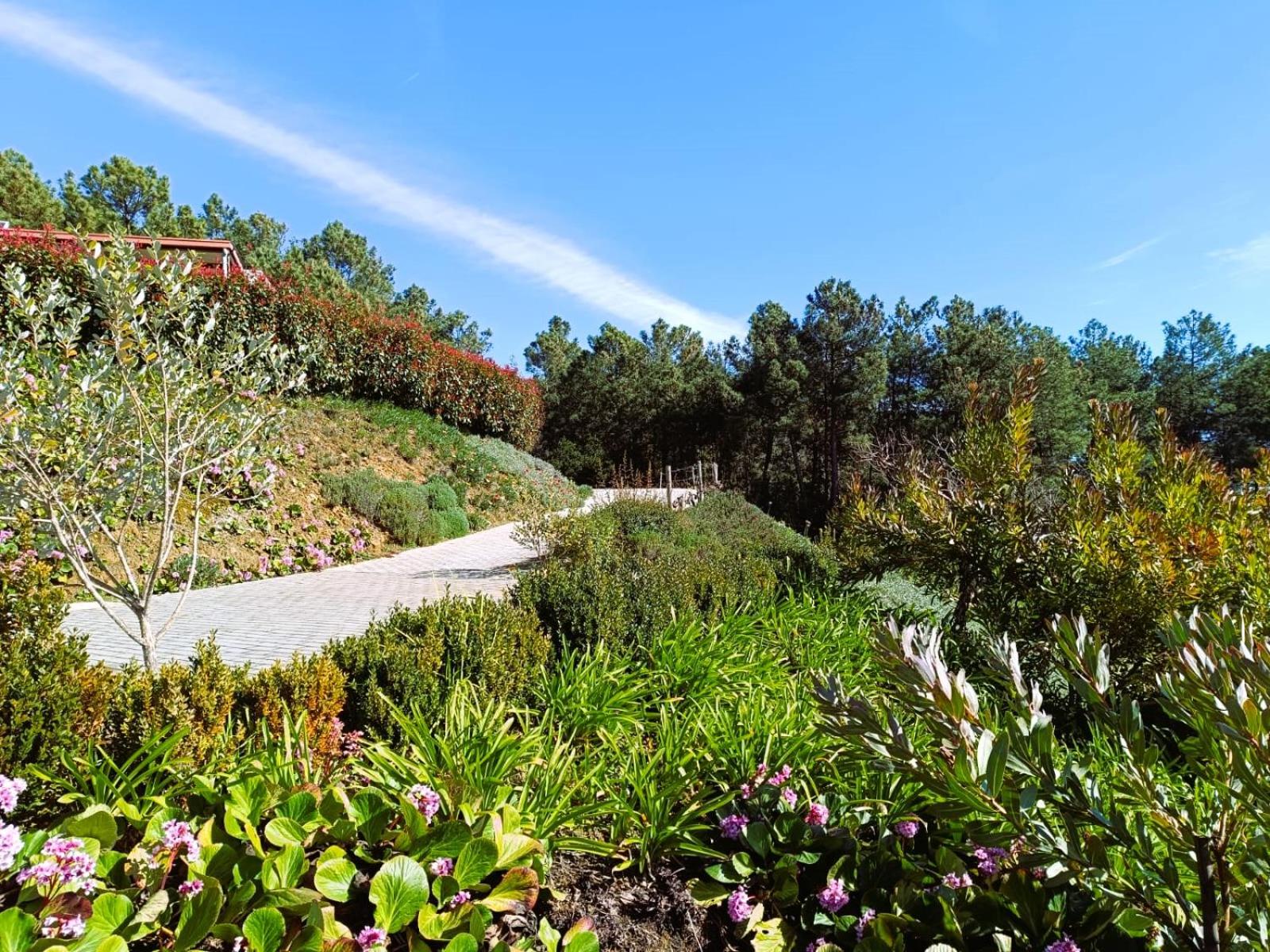Quinta Manhas Douro