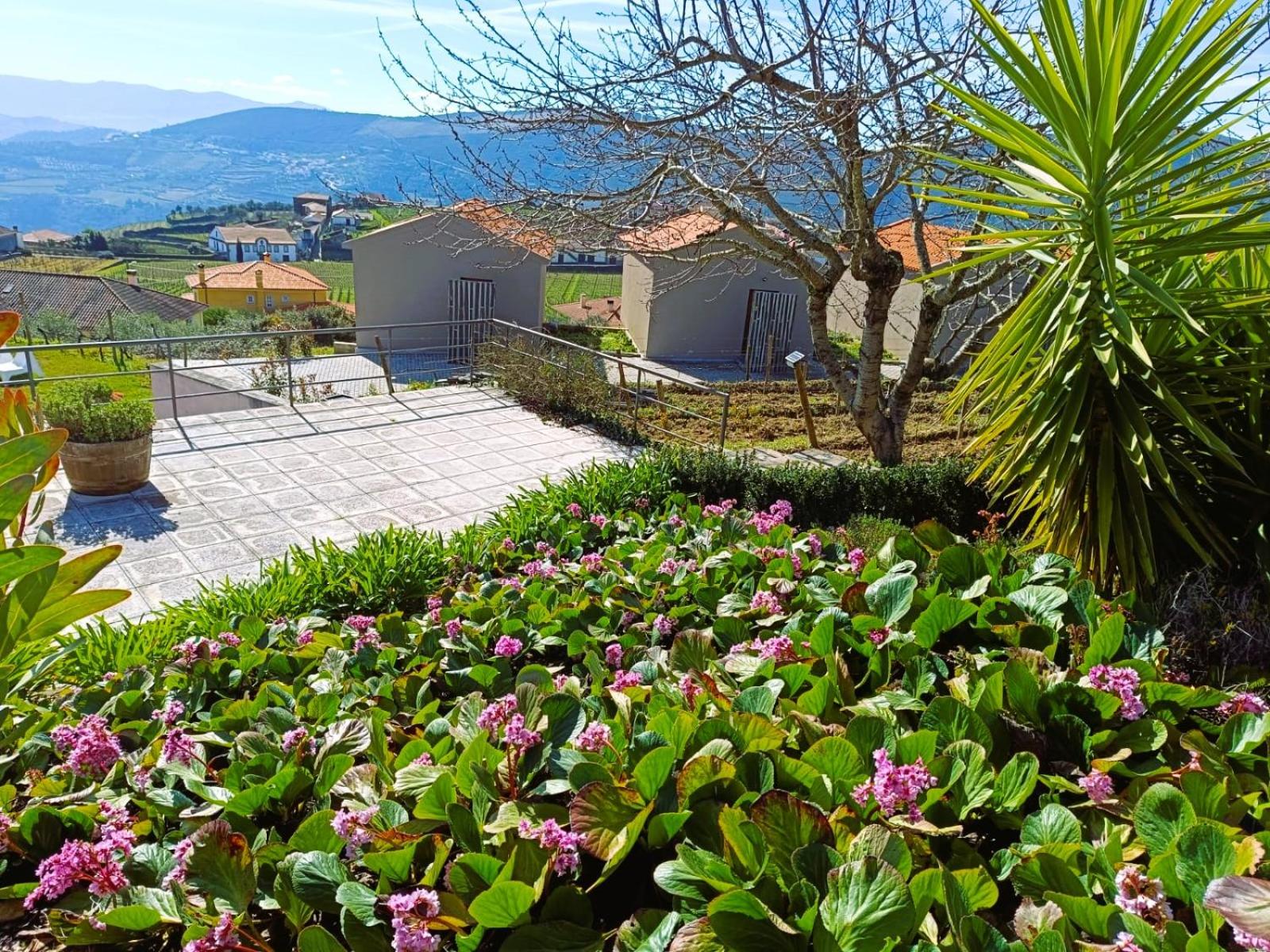 Quinta Manhas Douro
