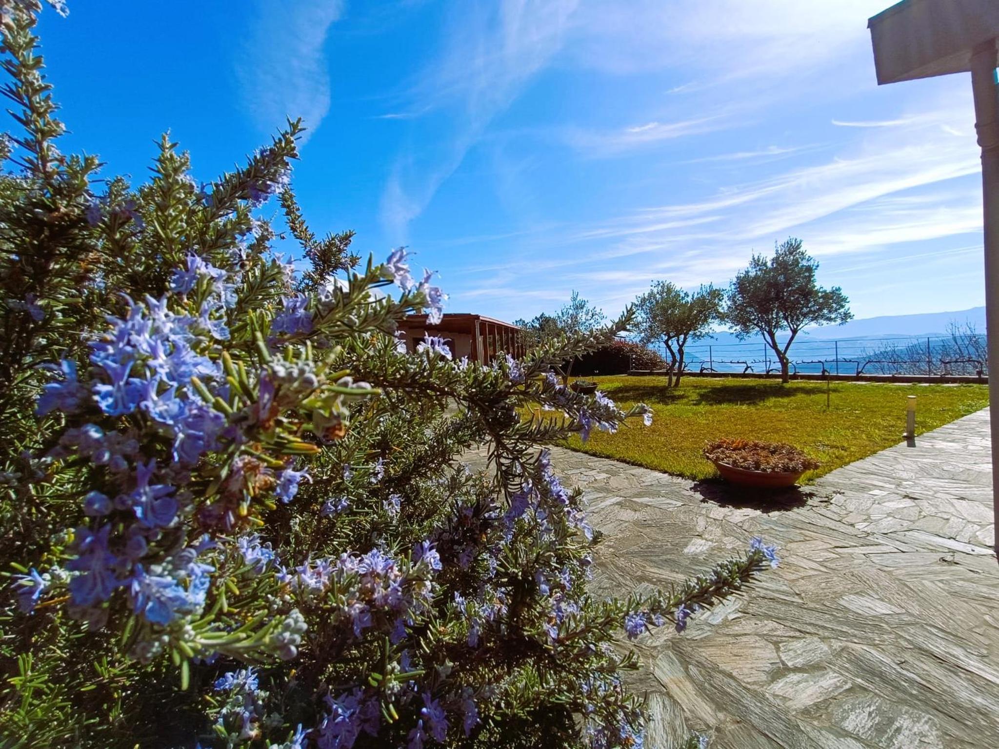 Quinta Manhas Douro
