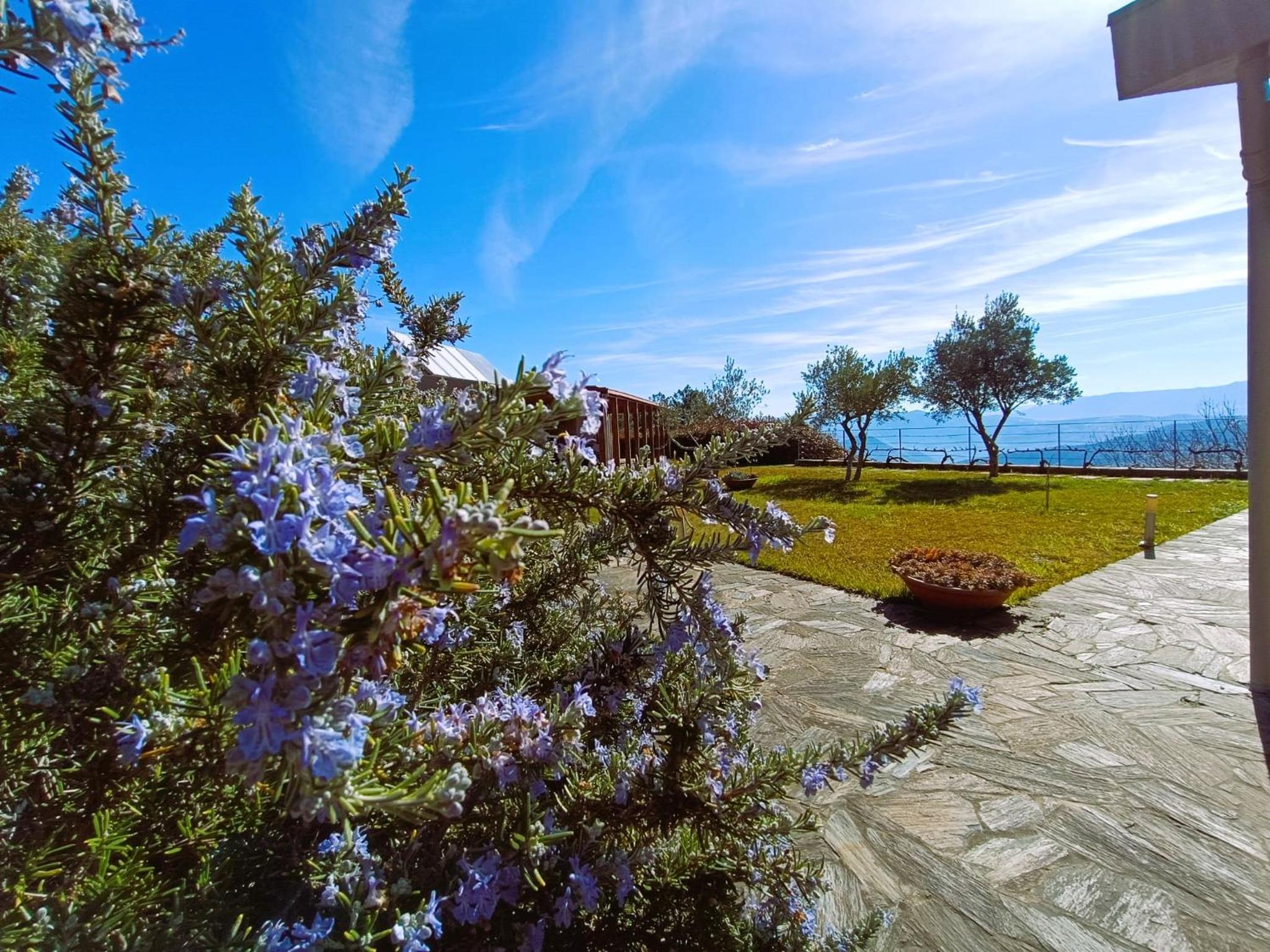 Quinta Manhas Douro