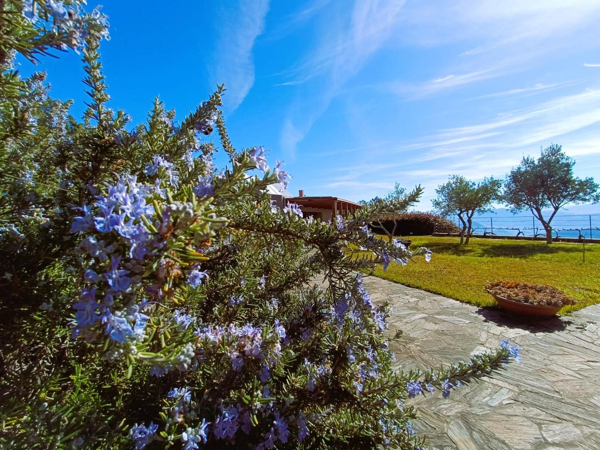 Quinta Manhas Douro