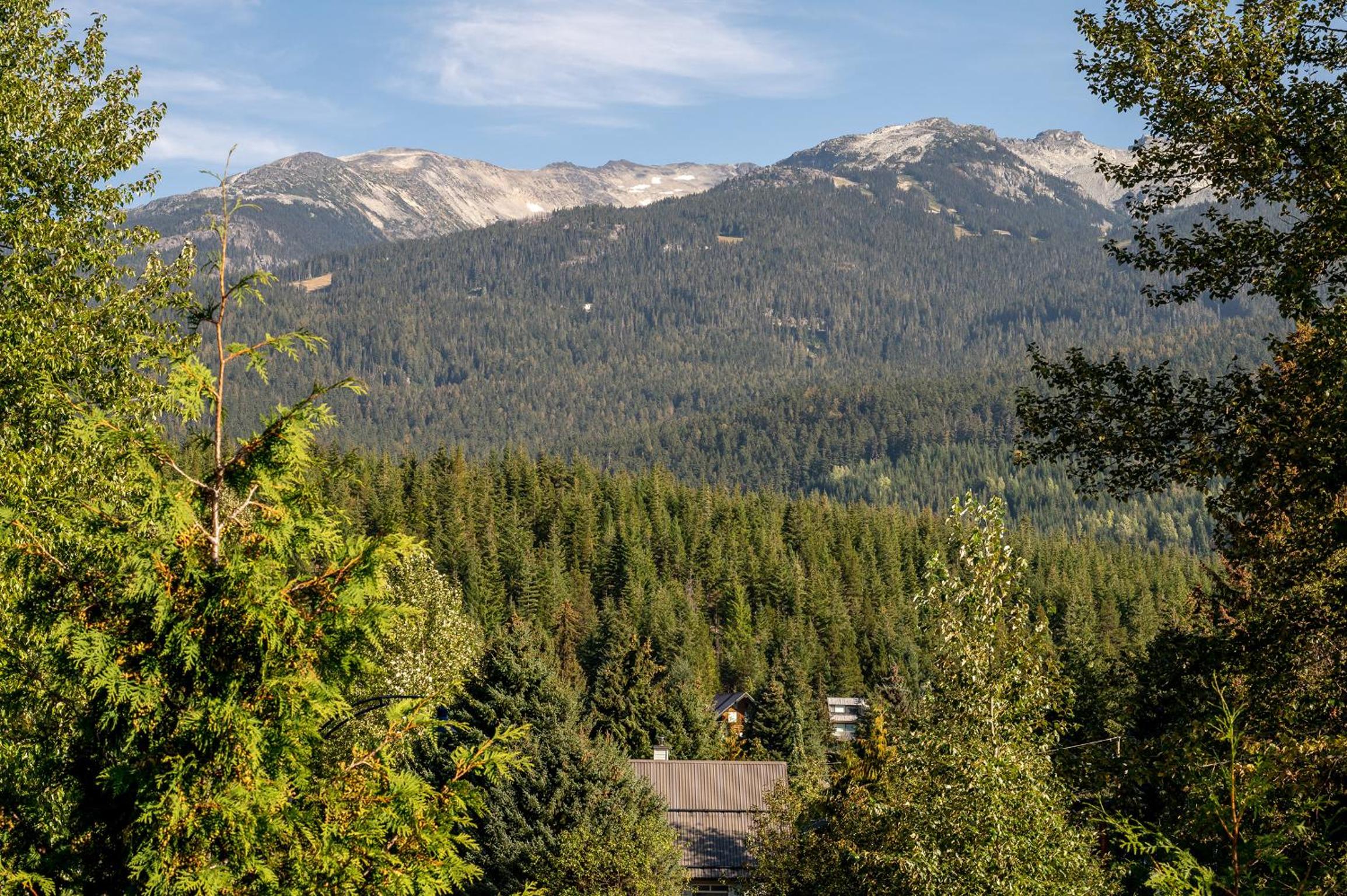 West Coast style 4-bedroom, 3-bathroom, mountain view townhome