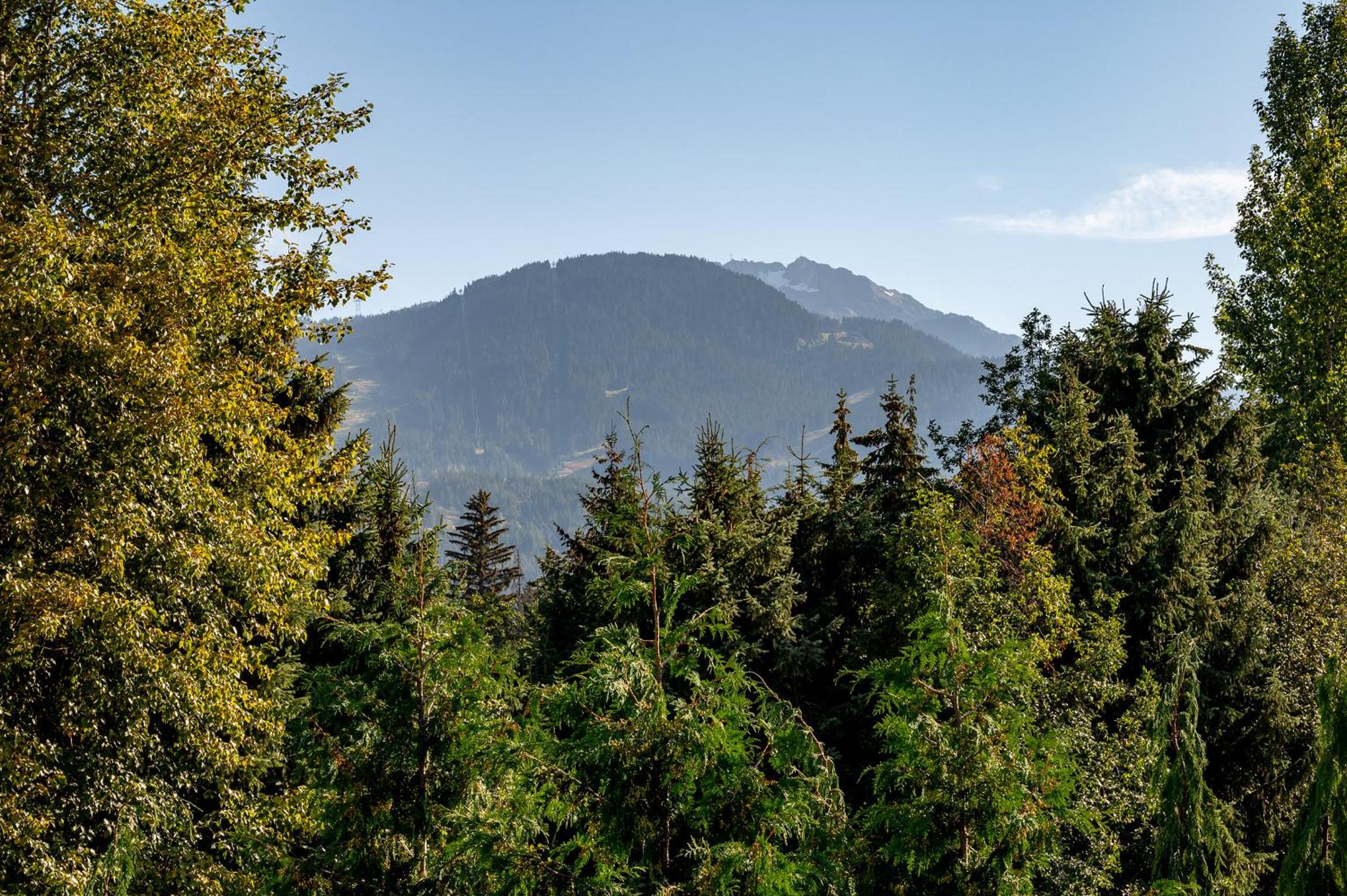 West Coast style 4-bedroom, 3-bathroom, mountain view townhome