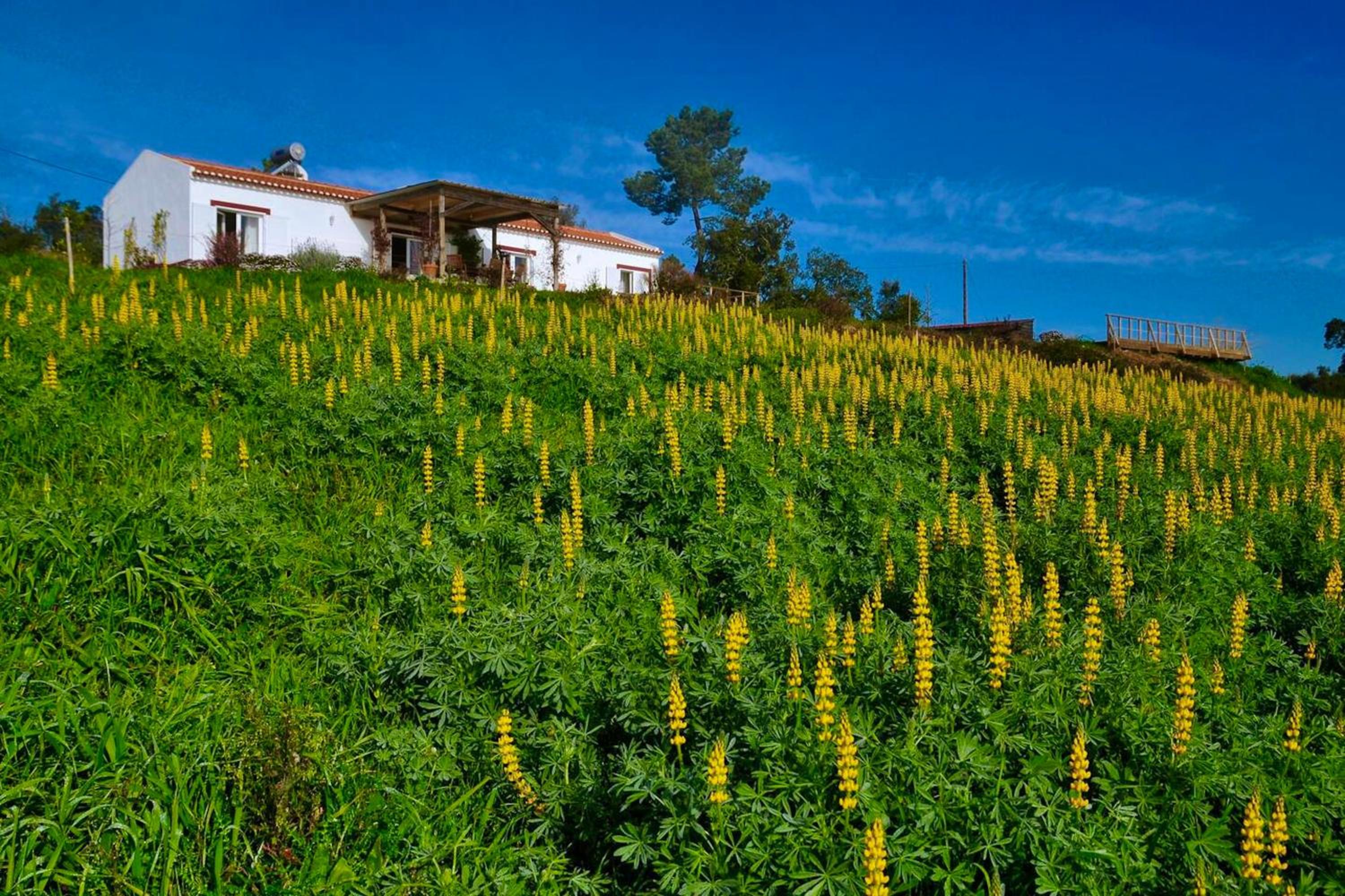 Elegant Villa in Sao Luis with Private Pool