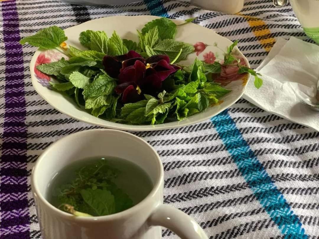 HOMESTAYKINSACOCHA