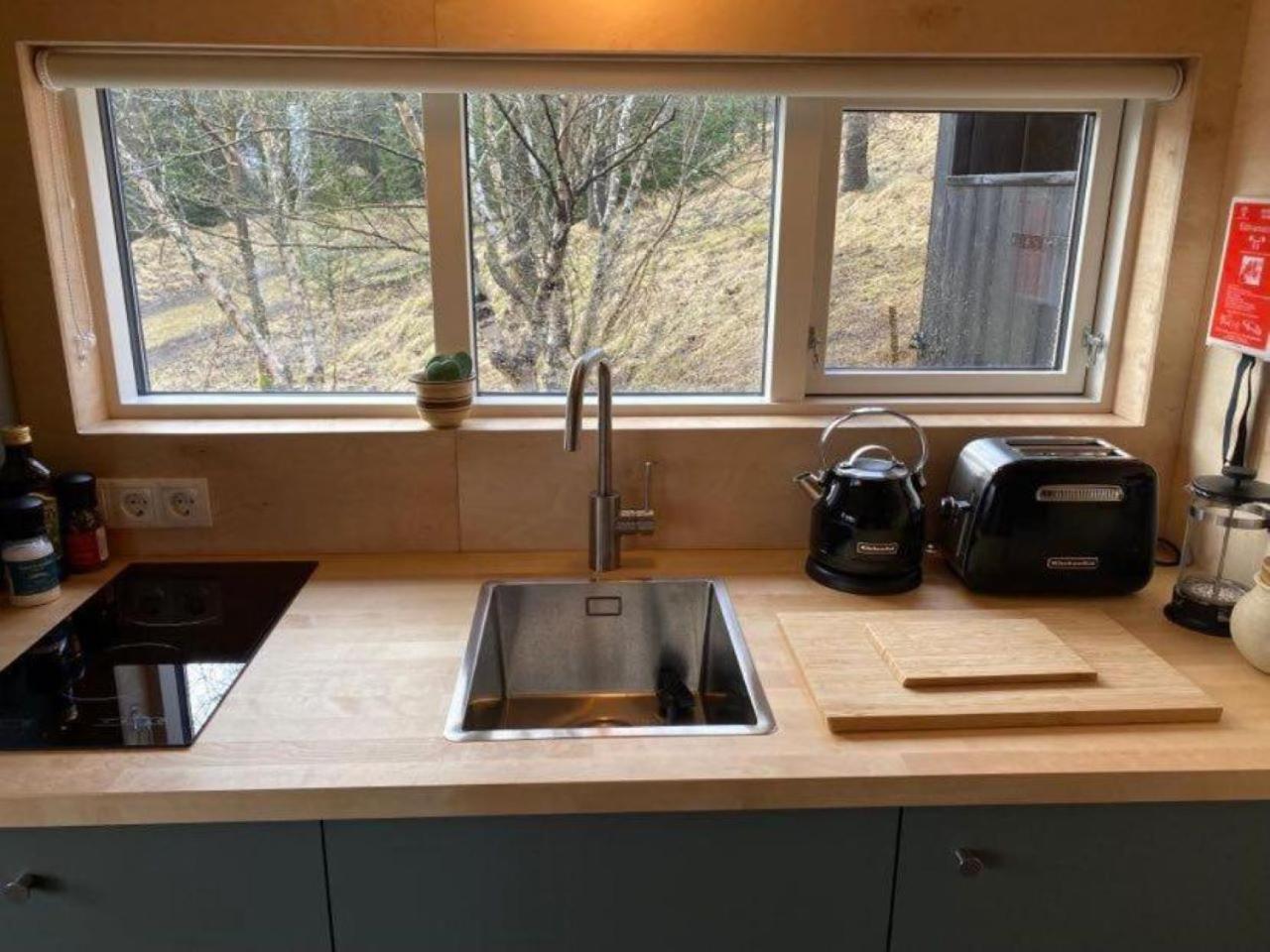 Audkula Dome Cabin view 5