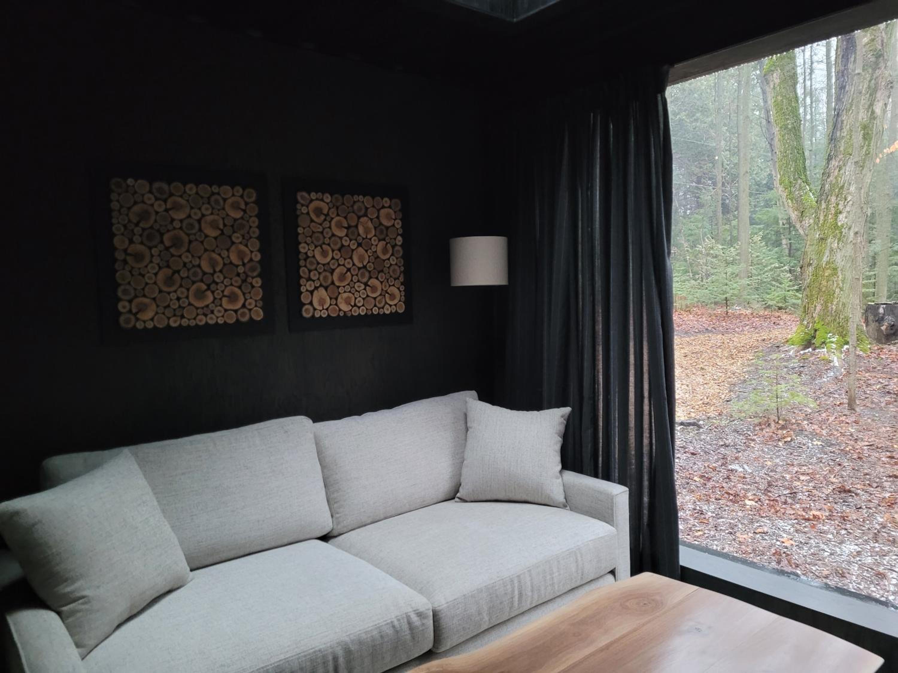 Black Pine Tree House