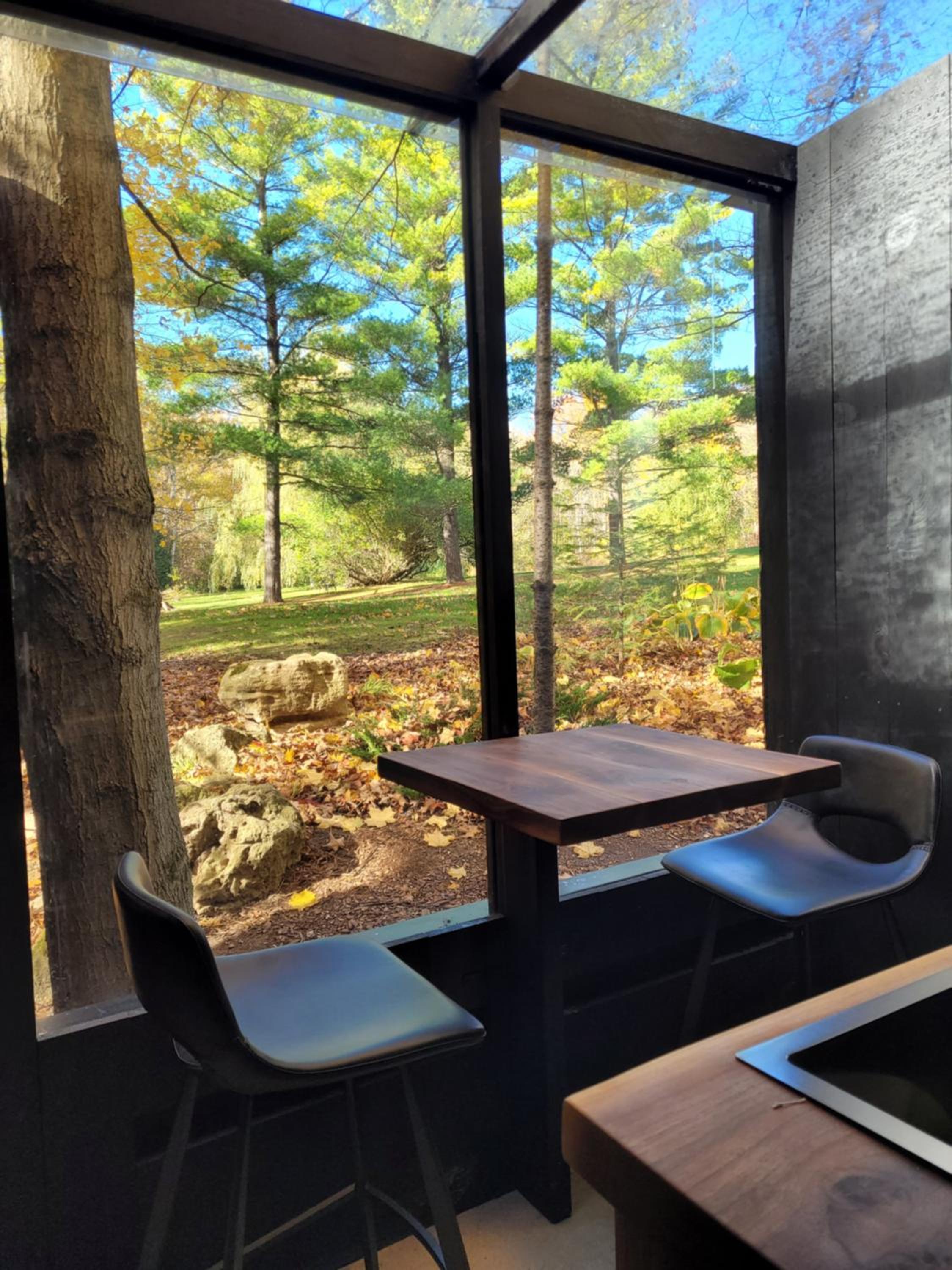 Black Pine Tree House