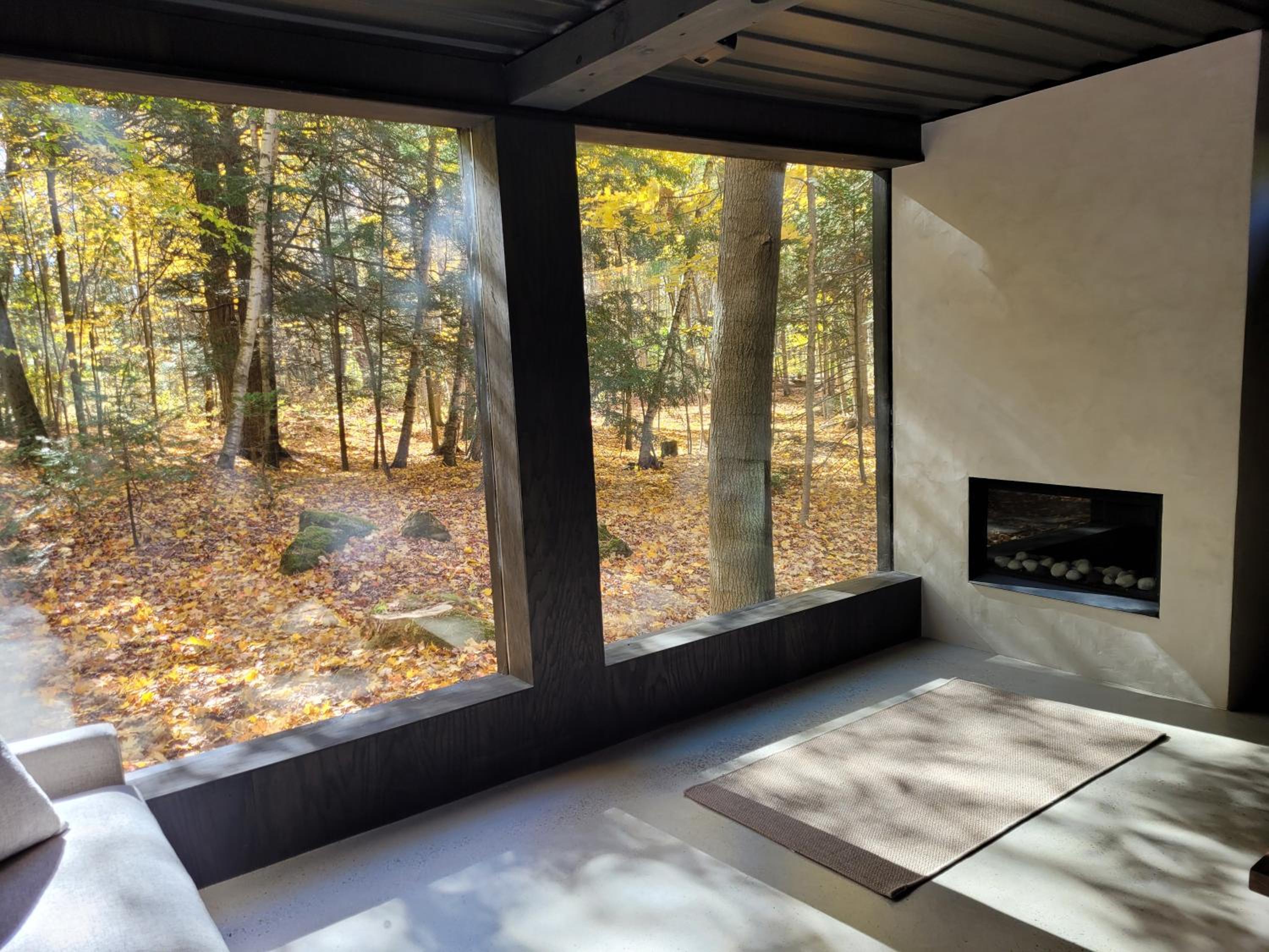 Black Pine Tree House