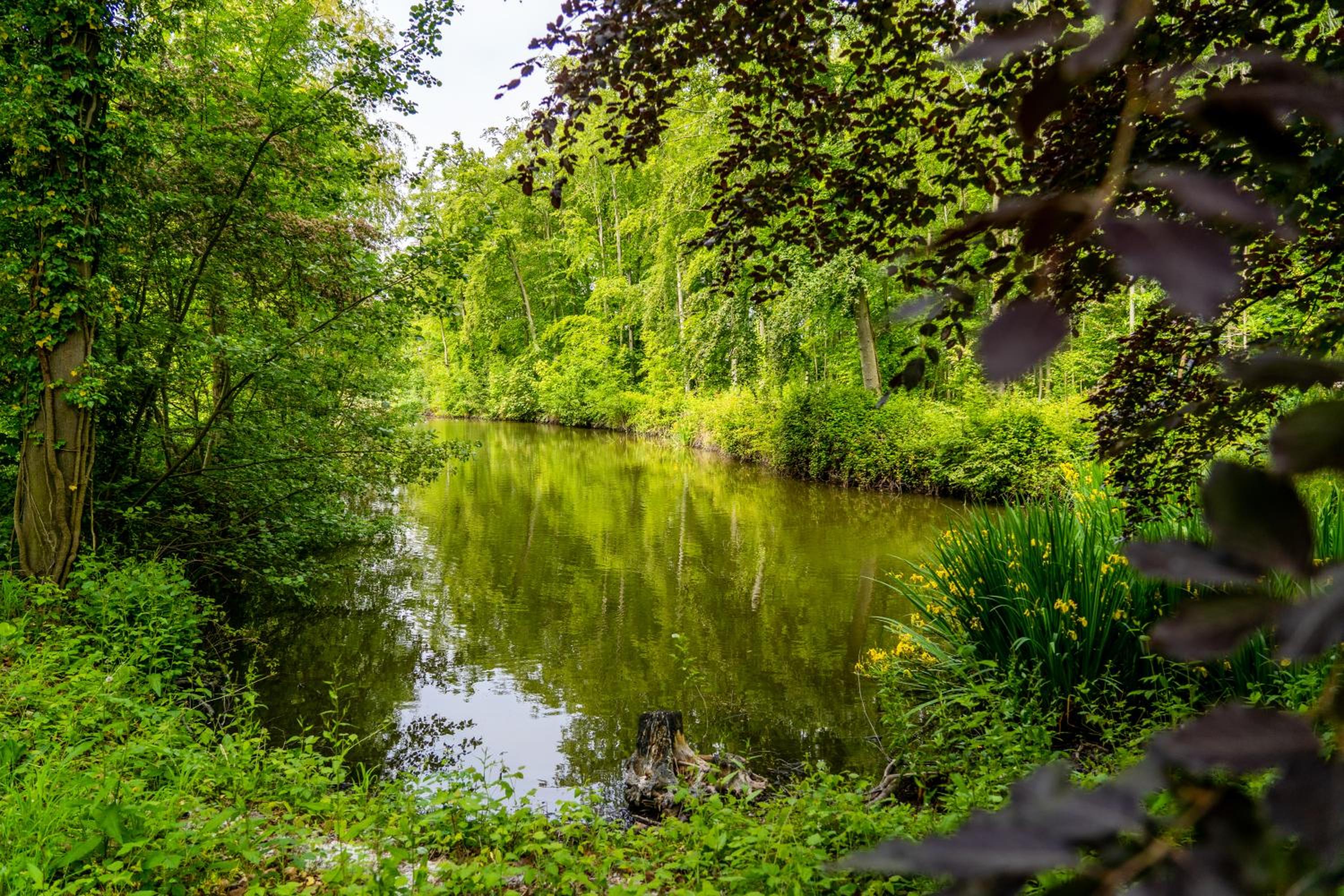 Koetshuis Buitenplaats Iepenoord