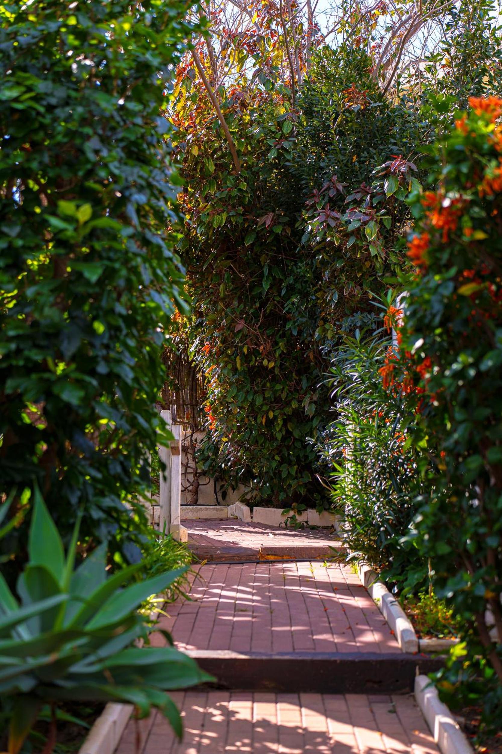 Villa Ibicenca Love