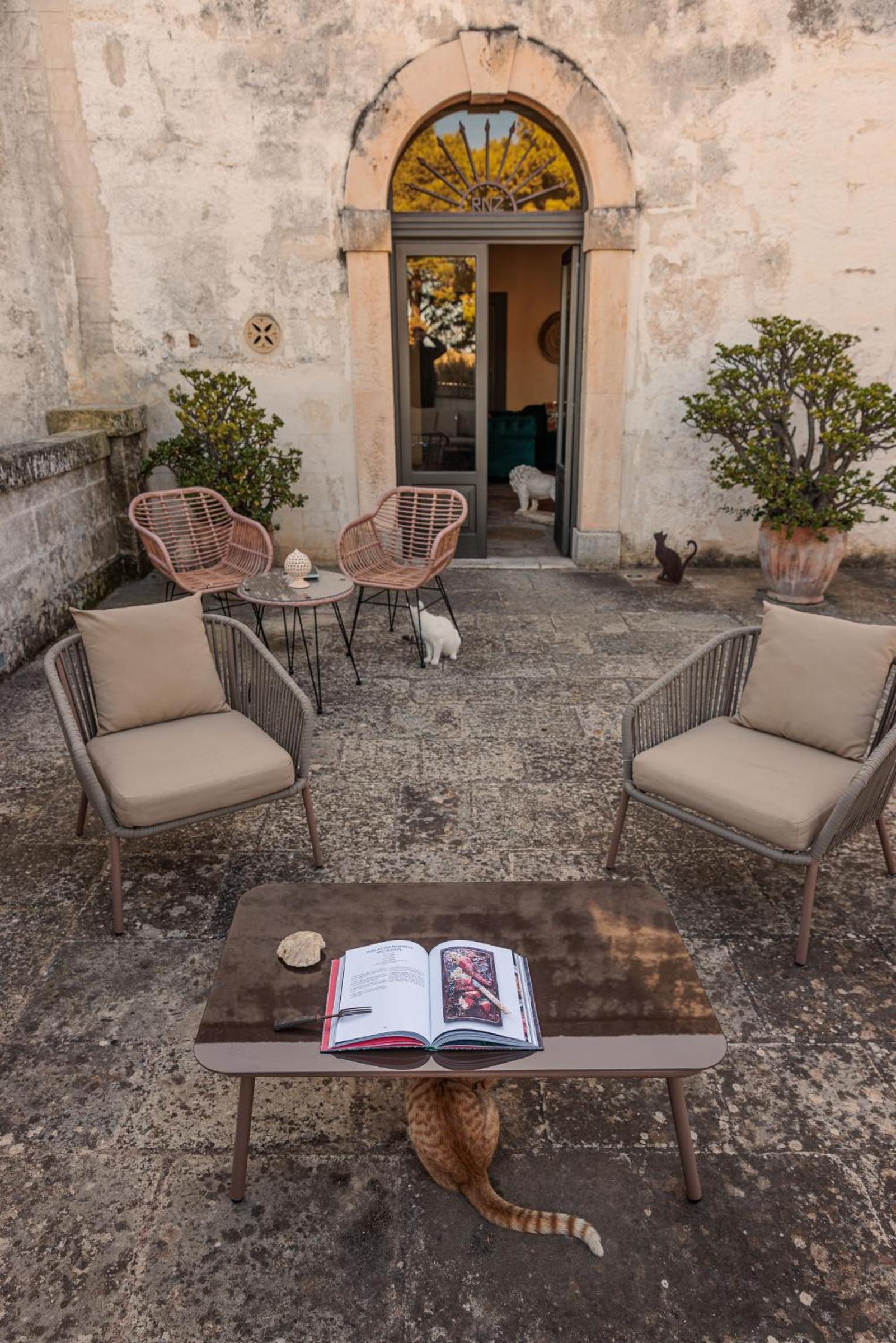 Photo 31